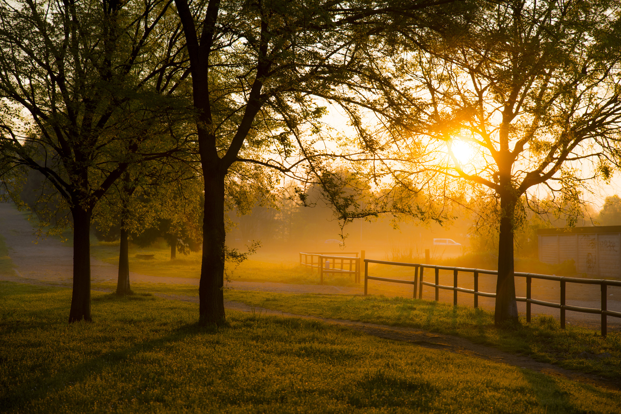 Nikon D800 + Tamron SP 24-70mm F2.8 Di VC USD sample photo. Magic light of sunrise -  magica luce del mattino photography