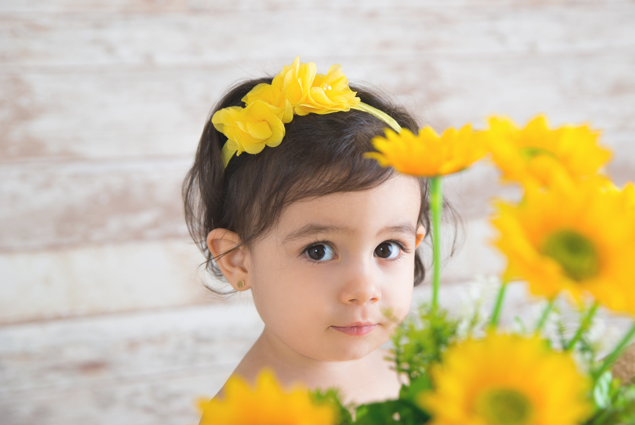 Nikon D800 sample photo