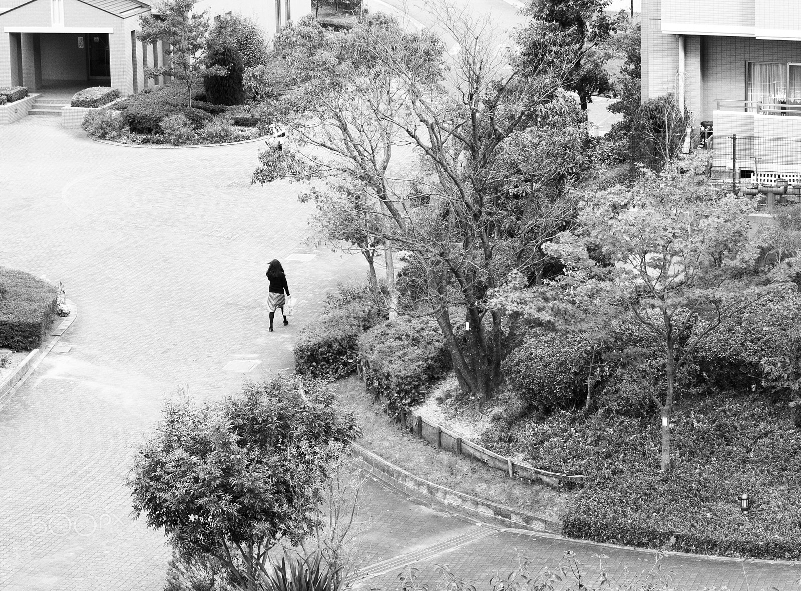 Canon EF-S 55-250mm F4-5.6 IS sample photo. Woman in the park 2 photography