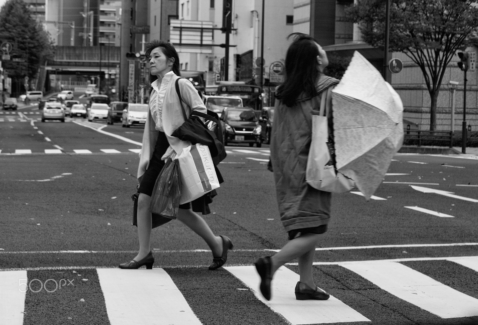 Canon EF-S 55-250mm F4-5.6 IS sample photo. Crossing photography