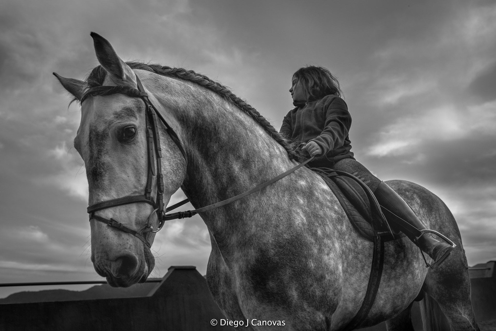 Nikon D810 sample photo. Un paseo por las nubes photography