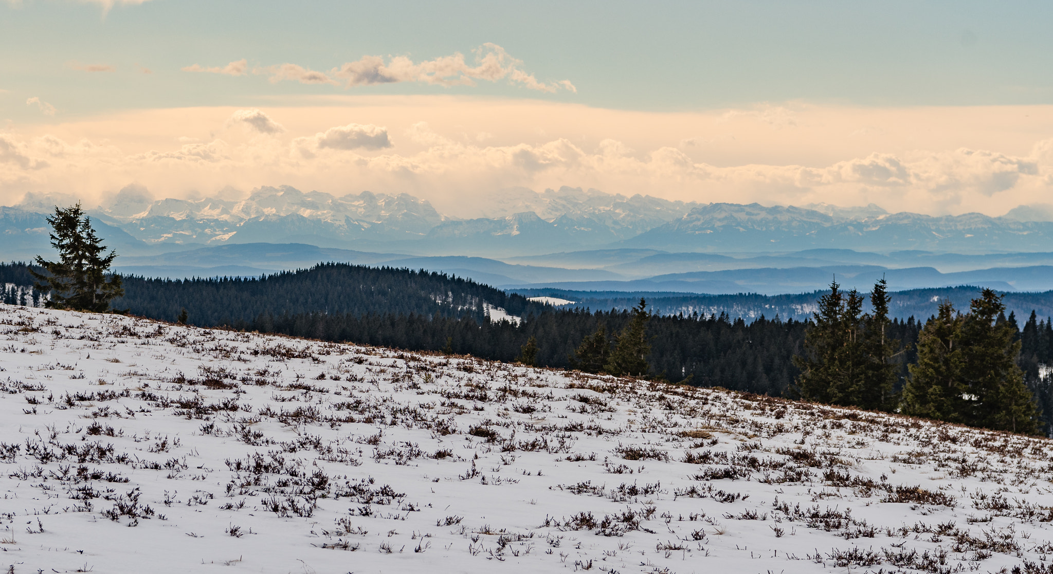 Nikon AF-S Nikkor 24-70mm F2.8E ED VR sample photo. Der letzte schnee photography