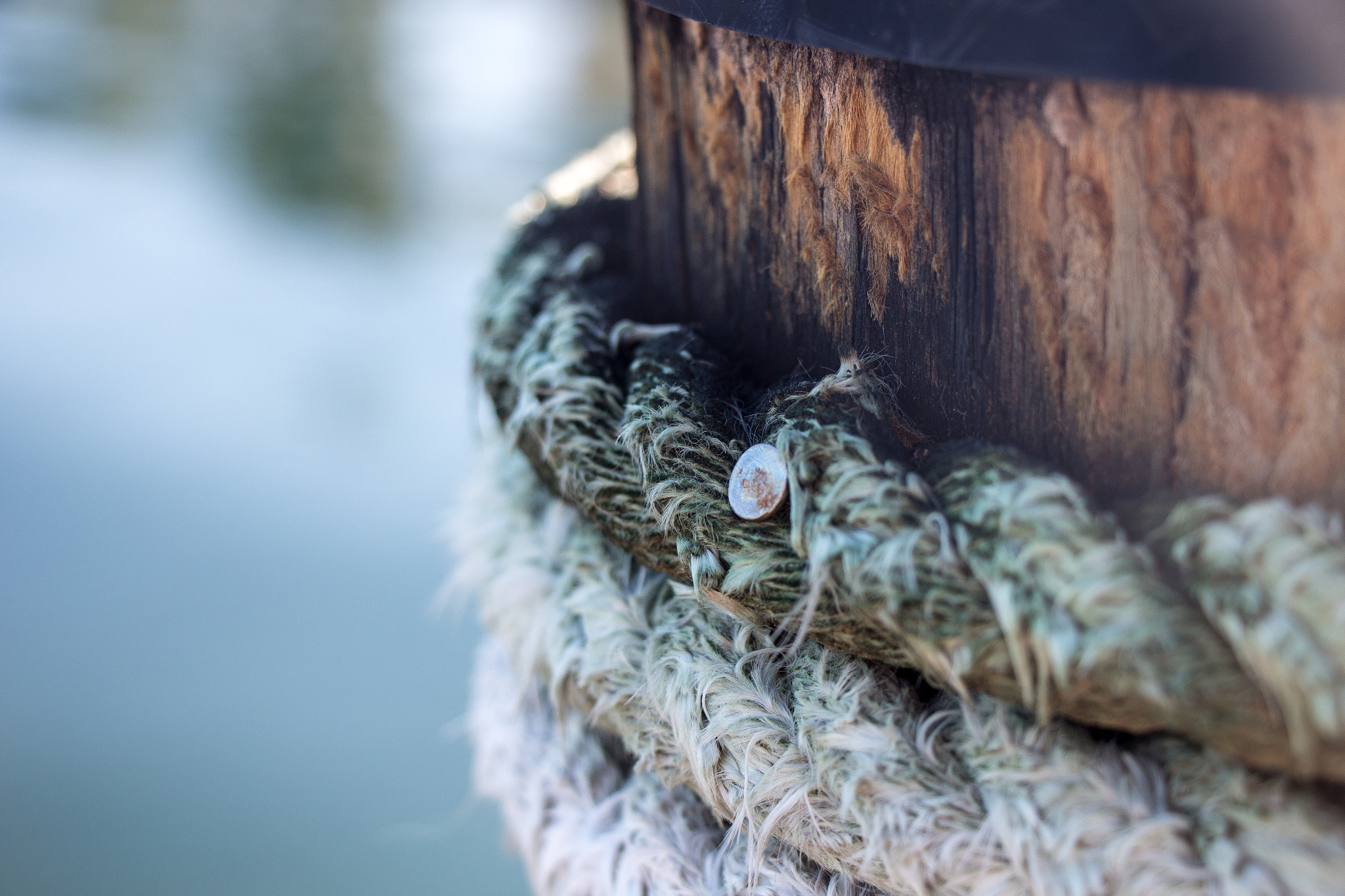 Canon EOS 100D (EOS Rebel SL1 / EOS Kiss X7) sample photo. Wound up // captiva, florida photography