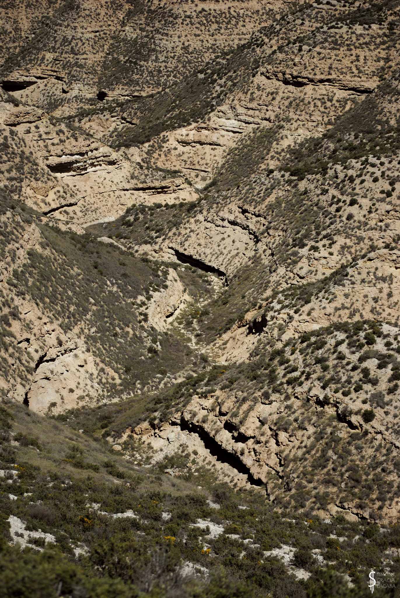 Nikon D3000 sample photo. In the arid heights photography