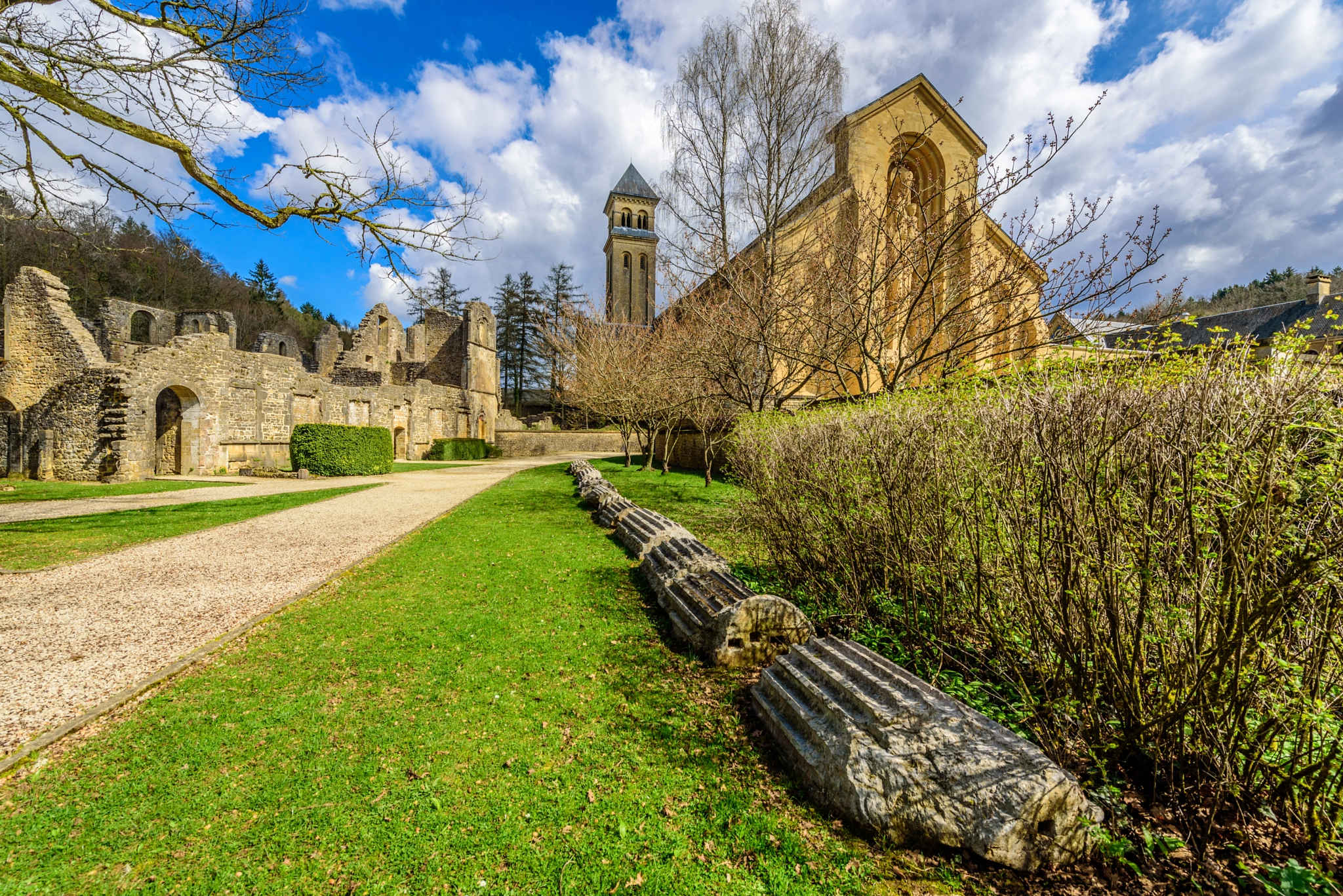 Nikon D750 + Nikon AF-S Nikkor 14-24mm F2.8G ED sample photo. Orval abbey, belgium photography