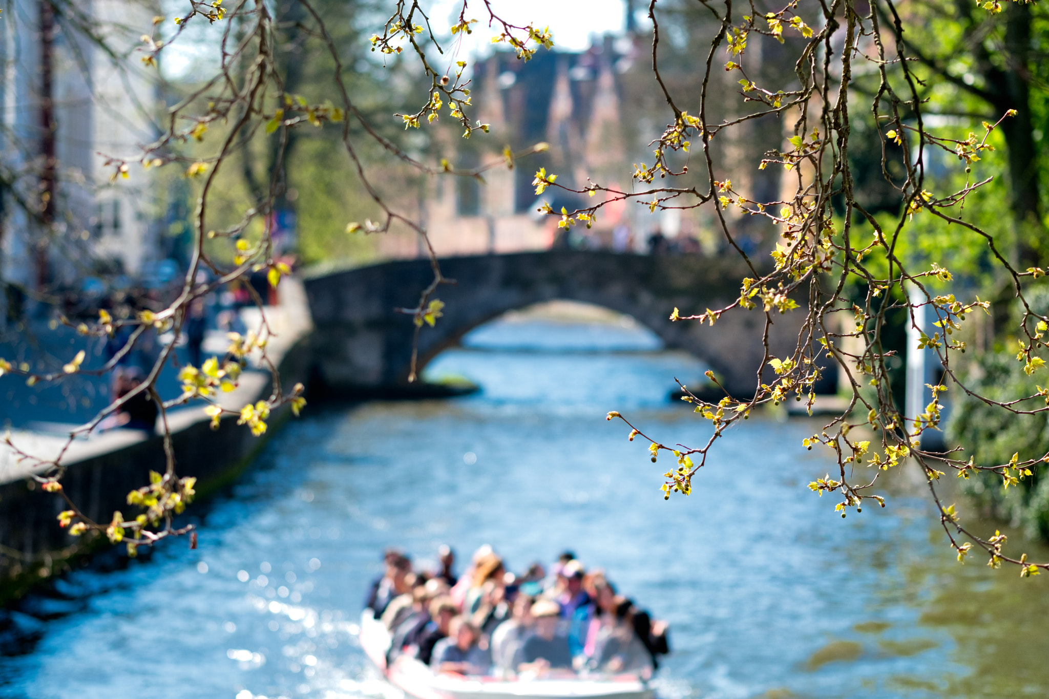 Fujifilm X-T2 + Fujifilm XF 90mm F2 R LM WR sample photo. Spring in bruges photography