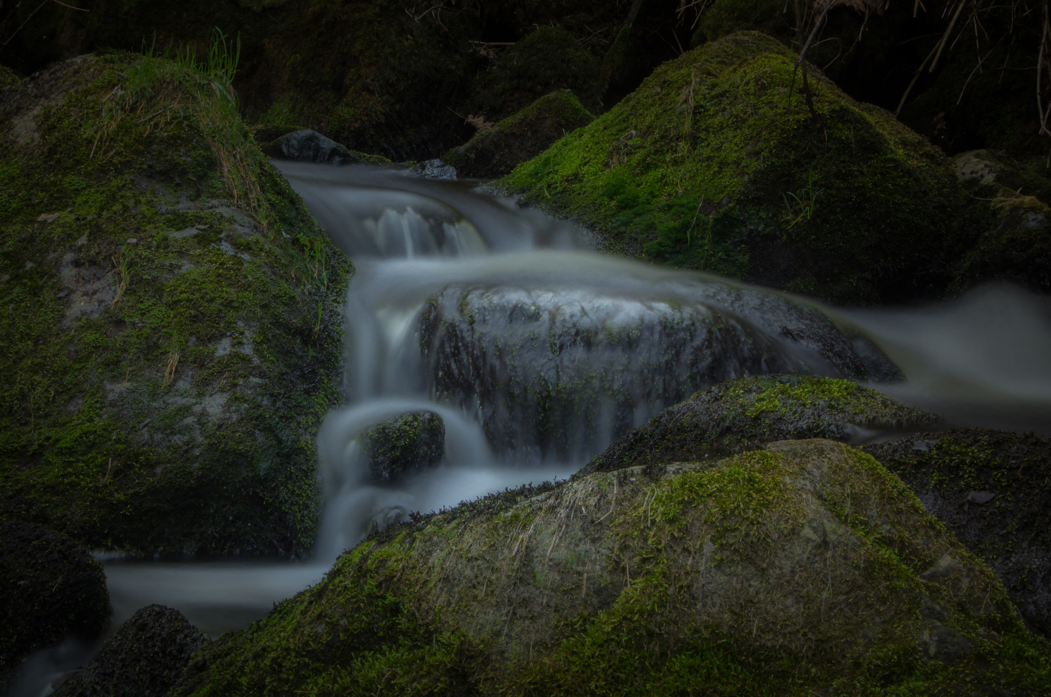 Sigma 18-250mm F3.5-6.3 DC OS HSM sample photo. Silence of the stones photography