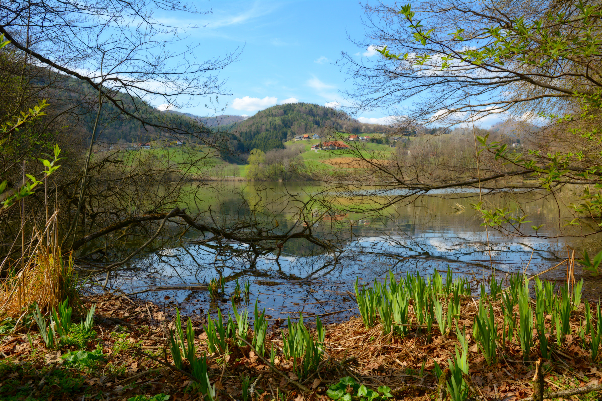Nikon D7100 sample photo. The lake photography