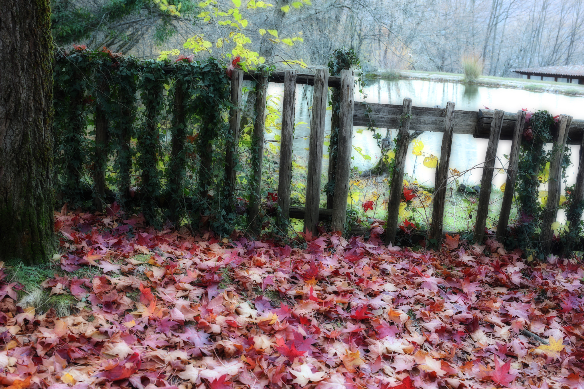 Canon EOS 5DS R sample photo. Autumn in abruzzo photography