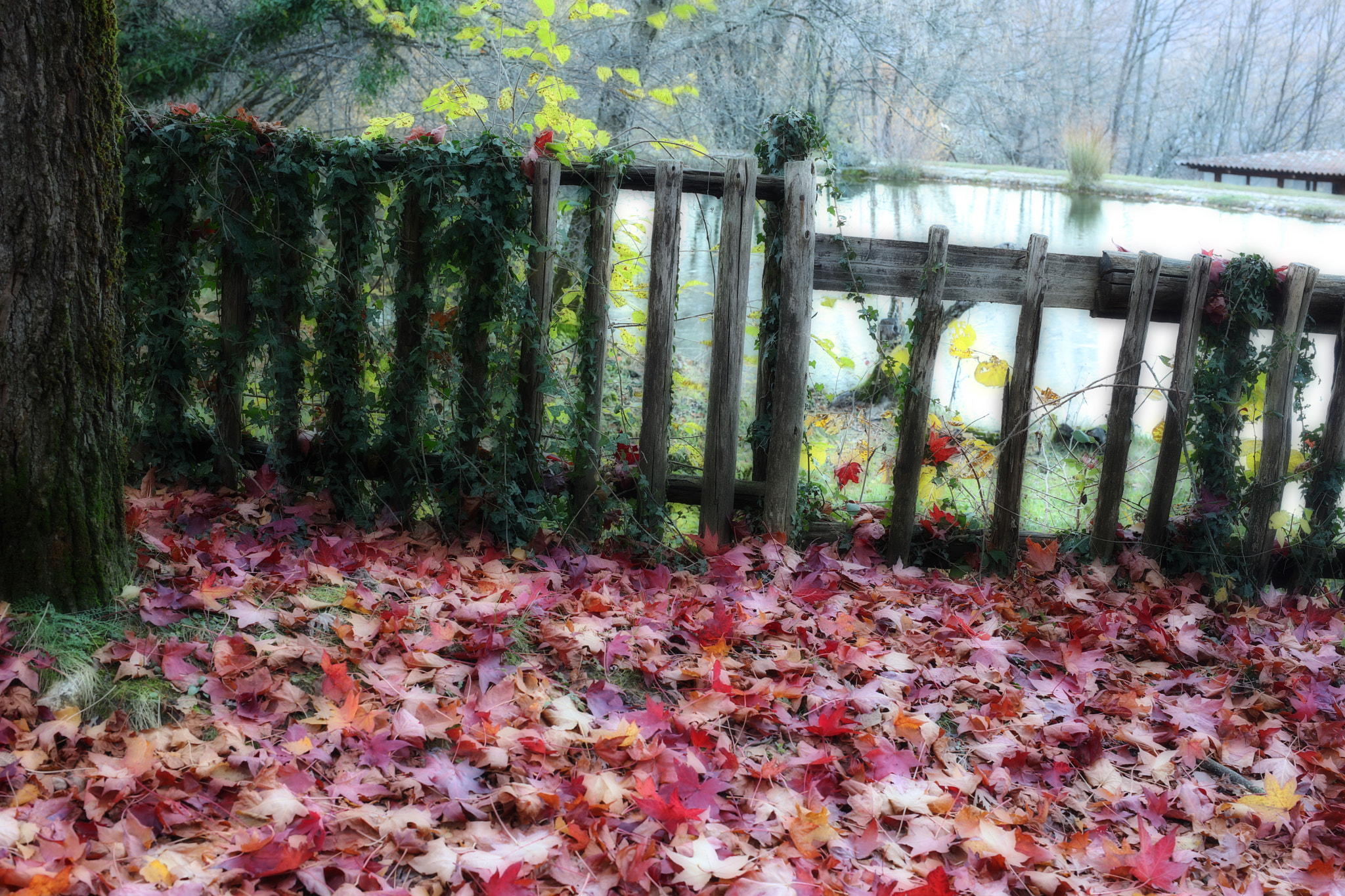Sigma 50mm F1.4 EX DG HSM sample photo. Autumn in abruzzo photography