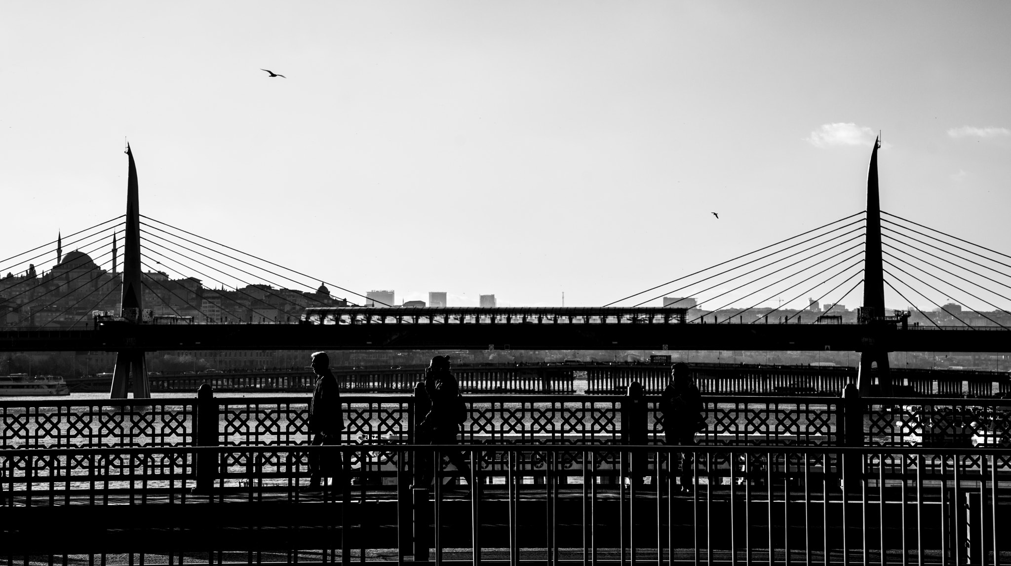 ZEISS Batis 85mm F1.8 sample photo. Untitled photography