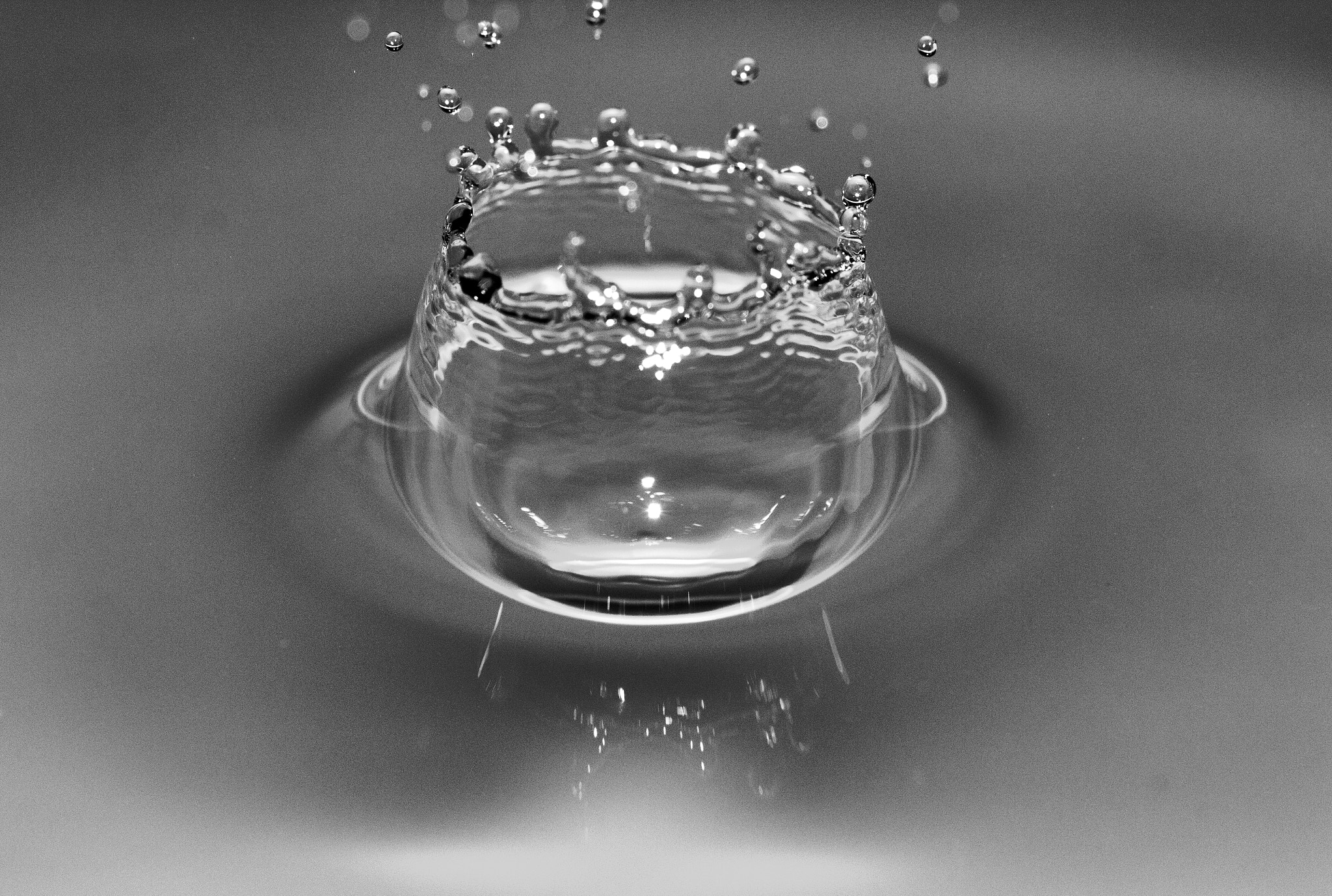 Canon EF 100mm F2.8L Macro IS USM sample photo. Splash bowl photography