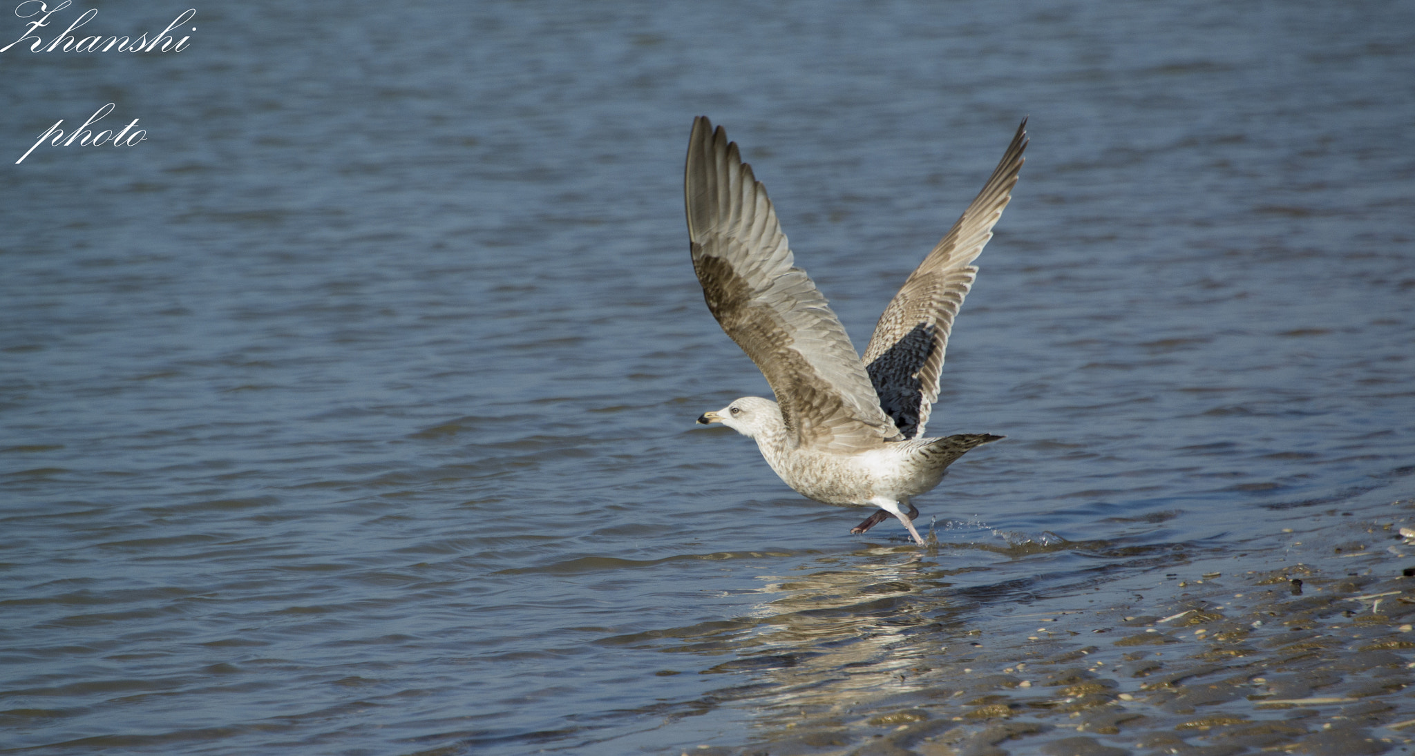 Nikon D3100 sample photo. In flight photography