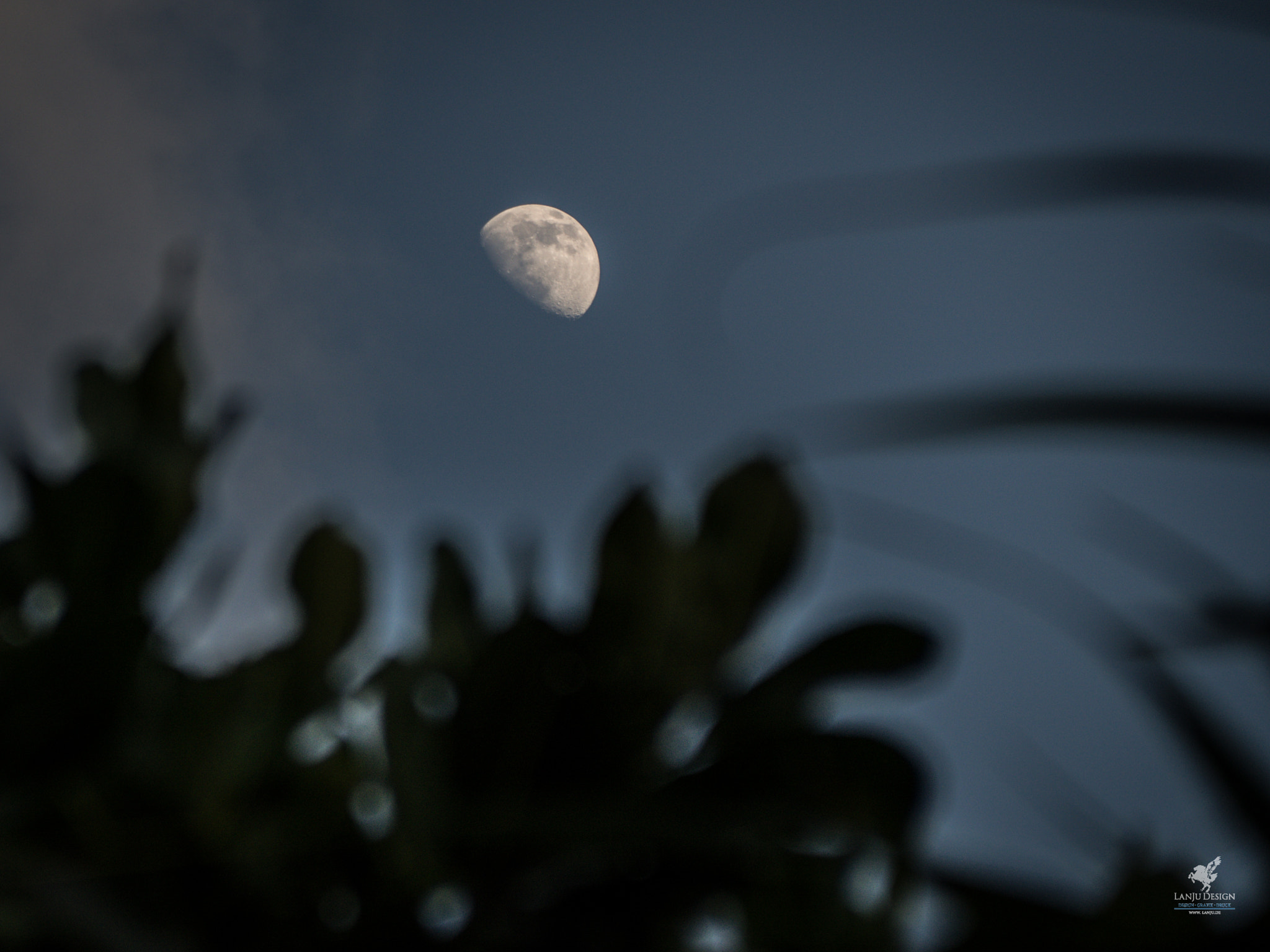 Olympus OM-D E-M10 II sample photo. Moonlight photography