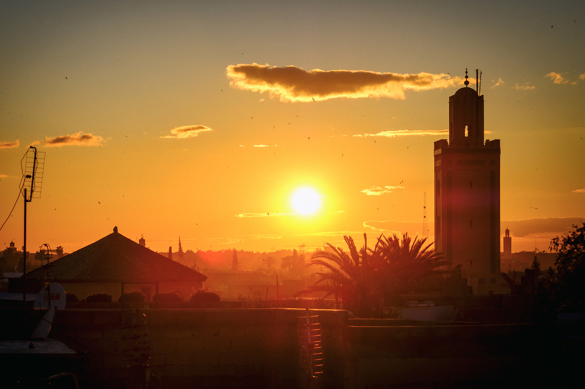 Fujifilm XF 50-140mm F2.8 R LM OIS WR sample photo. Red sunset in marrakech photography