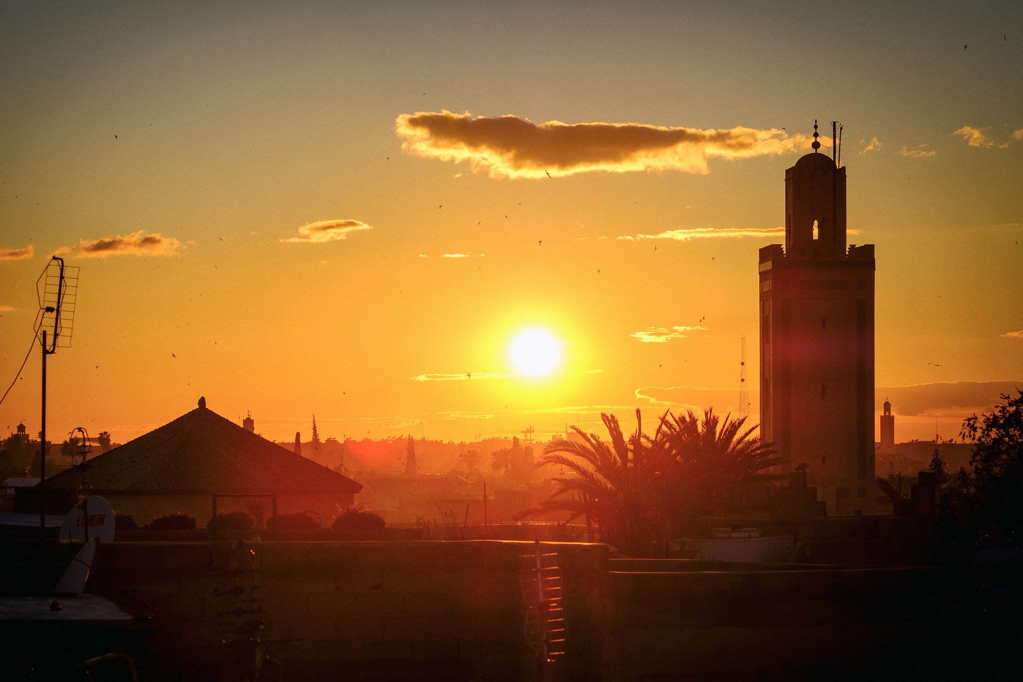 Fujifilm X-Pro2 + Fujifilm XF 50-140mm F2.8 R LM OIS WR sample photo. Red sunset in marrakech photography