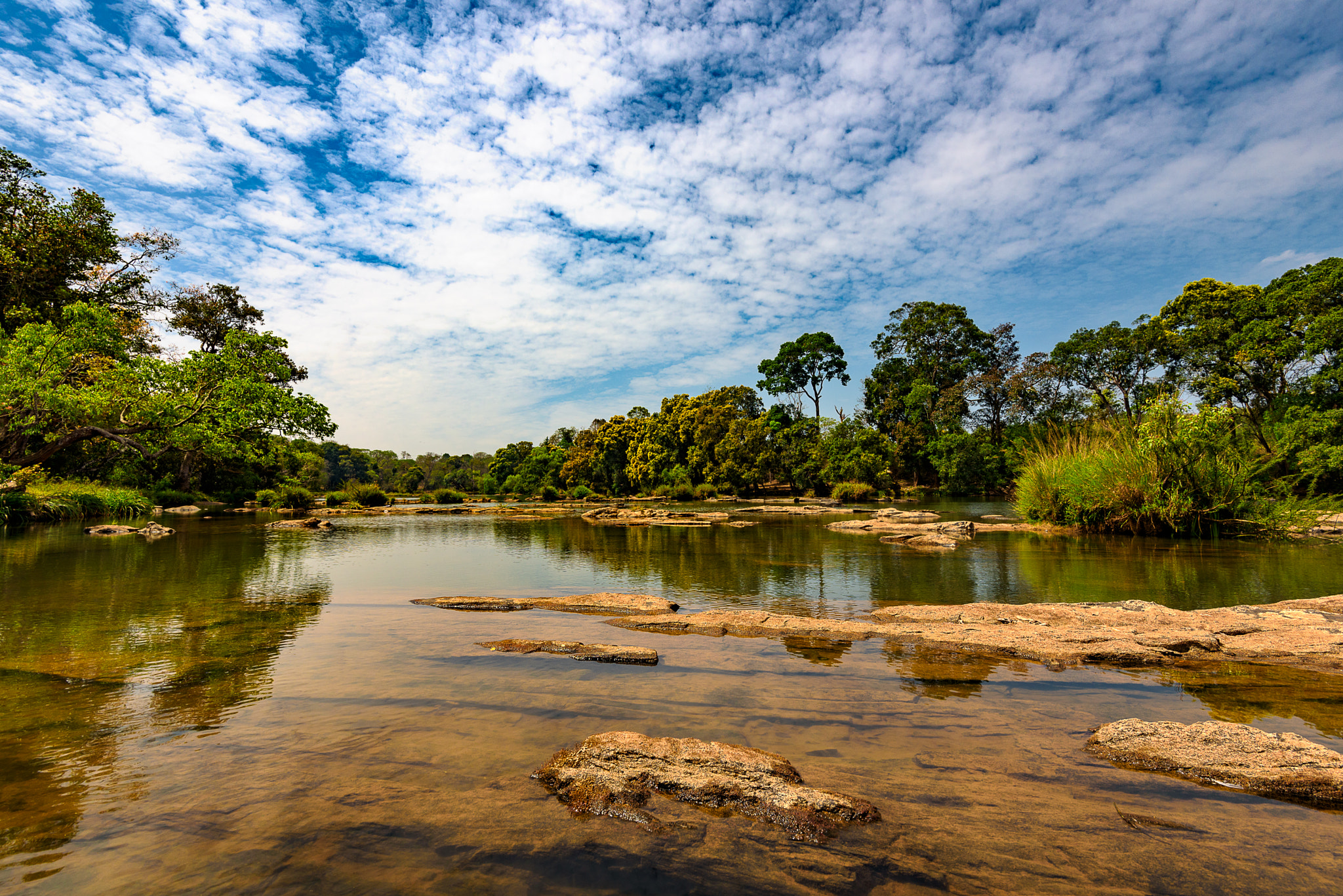 Nikon AF-S Nikkor 16-35mm F4G ED VR sample photo. Dubber - coorg photography