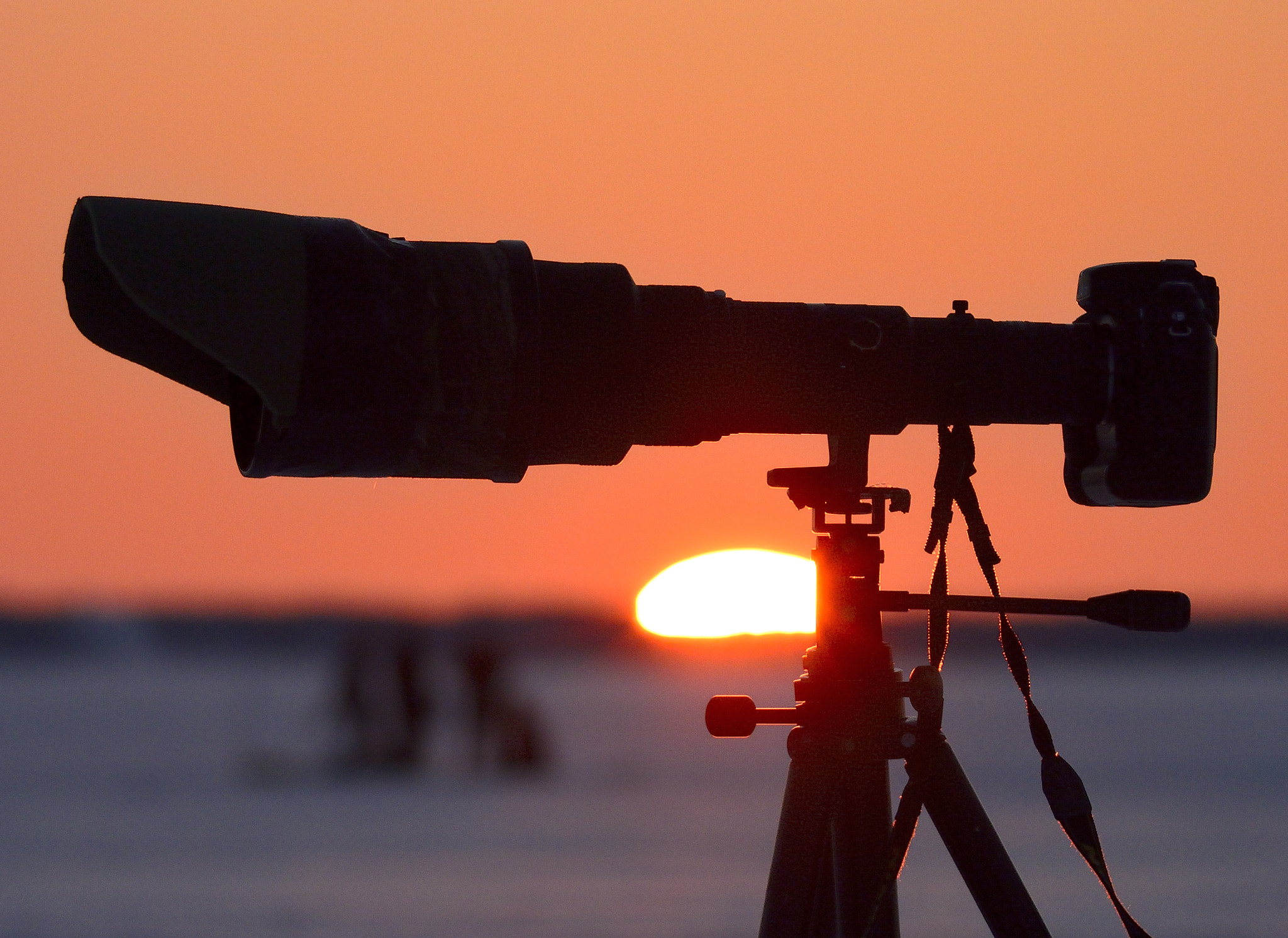 Nikon 1 V2 sample photo. Telephoto photography