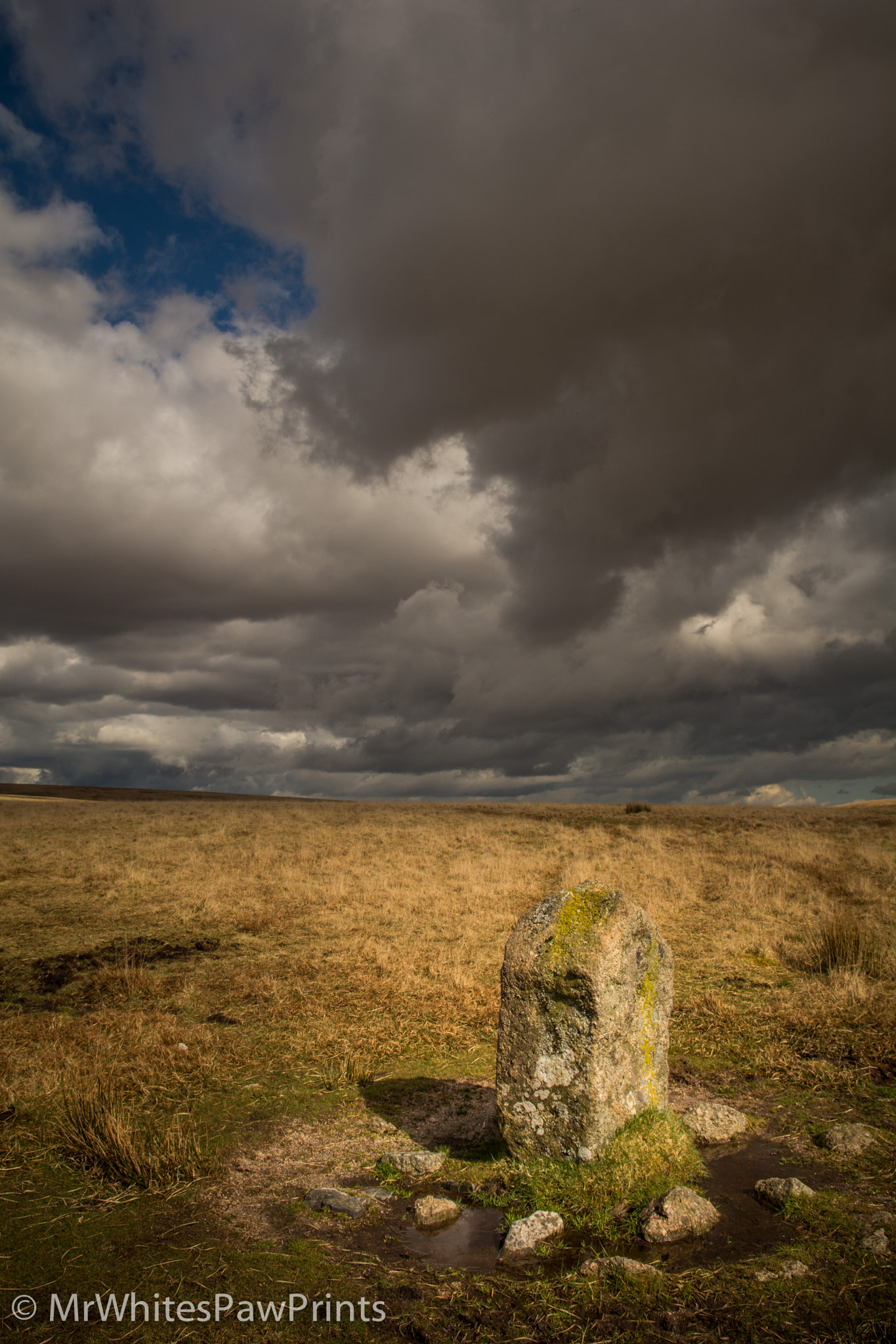 Nikon D7100 sample photo. Langstone stone circle photography