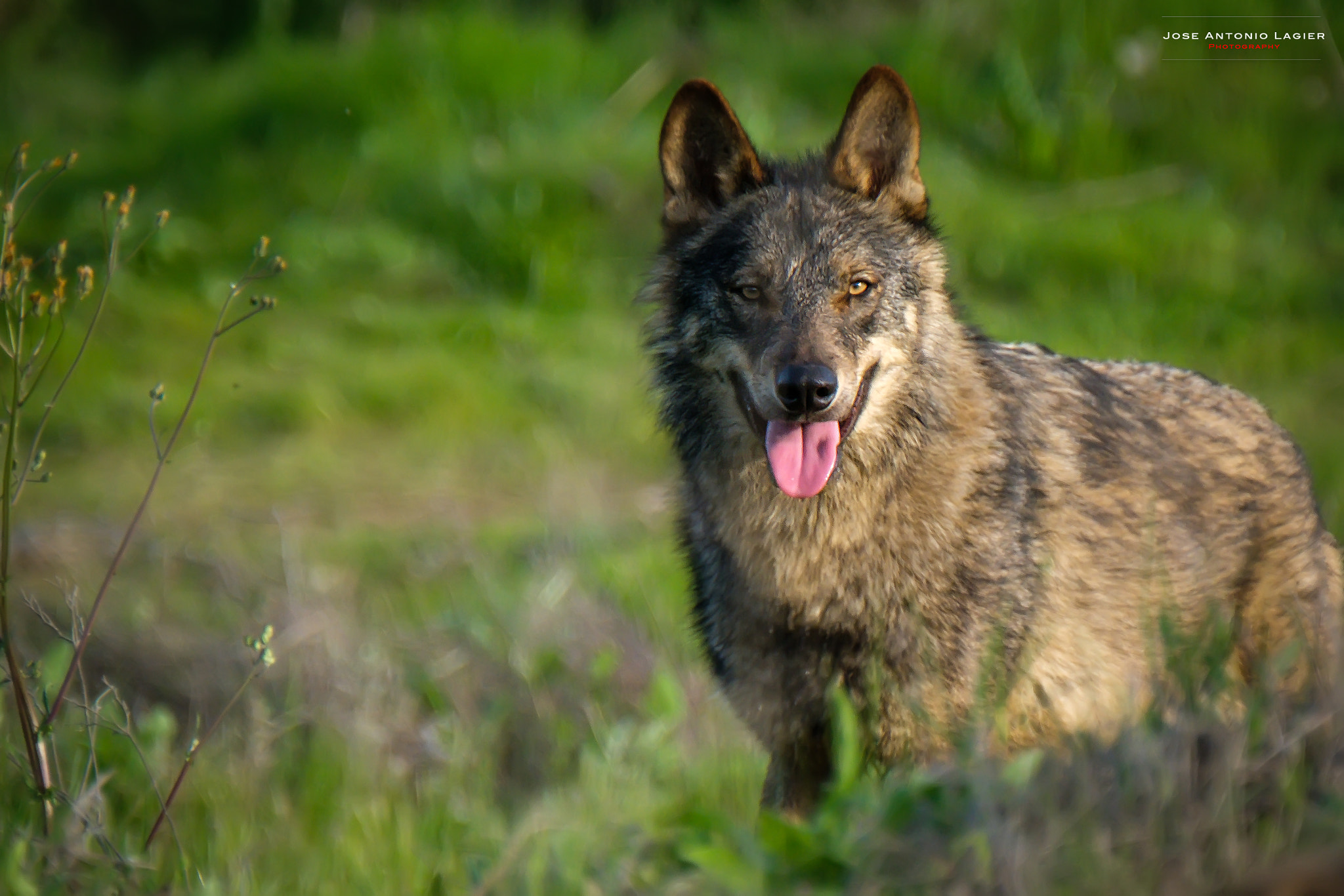 XF100-400mmF4.5-5.6 R LM OIS WR + 1.4x sample photo