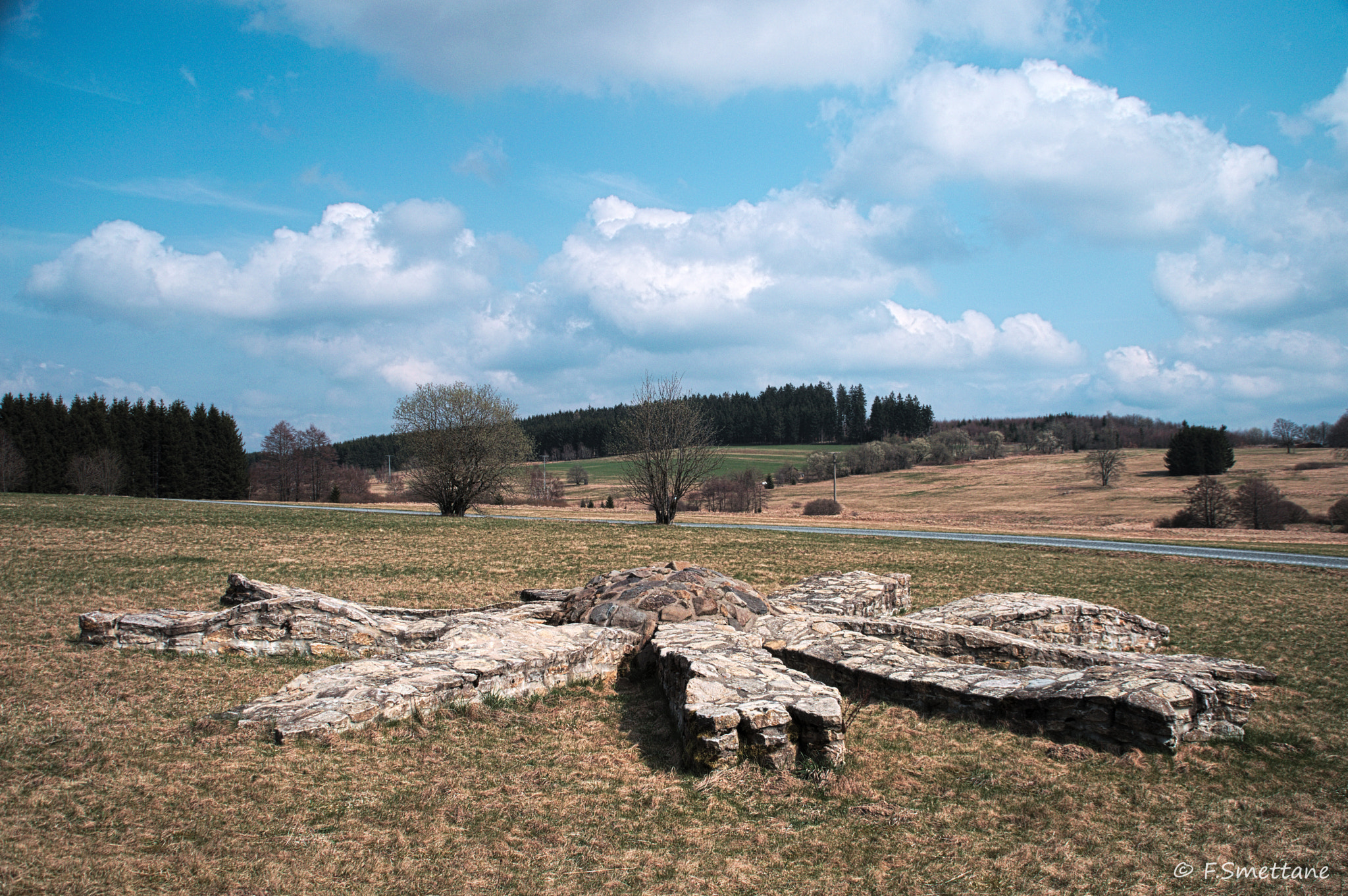Nikon D3200 sample photo. Die steinerne arnikablüte, eine skulptur in der teuschnitzaue photography