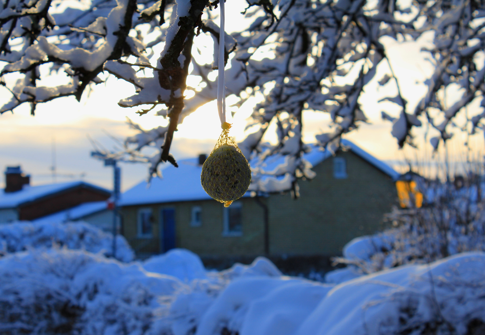 Canon EF-S 18-55mm F3.5-5.6 IS sample photo. Winter photography