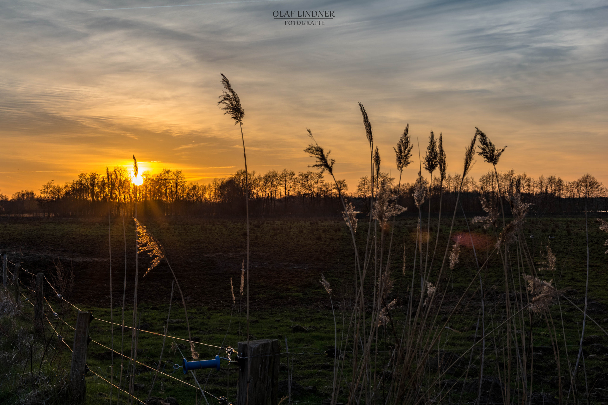 Sigma 17-50mm F2.8 EX DC OS HSM sample photo. Sunset at natural reserve ilkerbruch photography