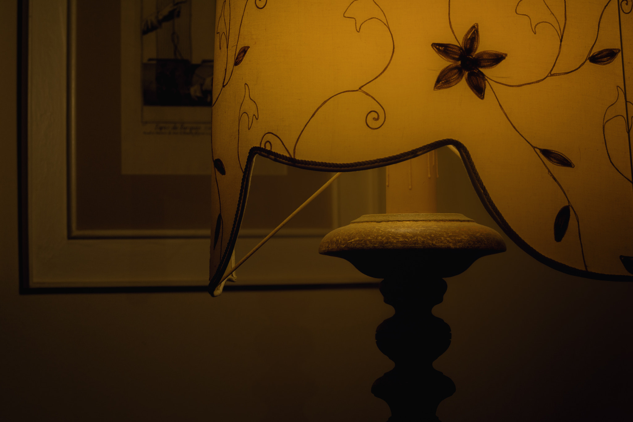 Sigma 105mm F2.8 EX DG OS HSM sample photo. Soft light photography