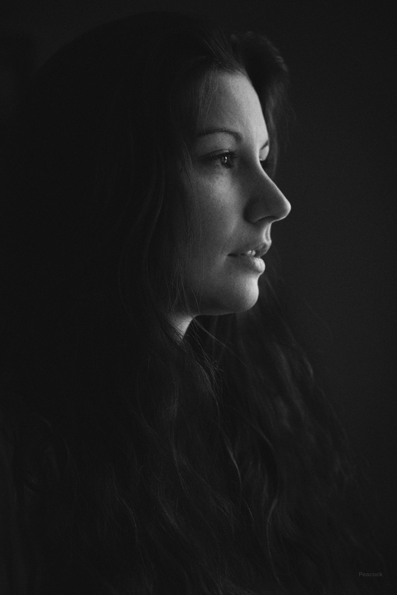 ZEISS Batis 85mm F1.8 sample photo. Arlett photography