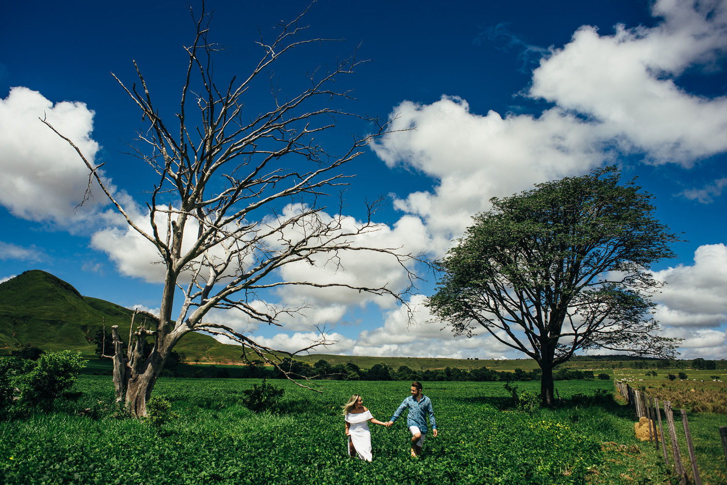 Nikon D750 + Nikon AF Nikkor 24mm F2.8D sample photo. Pure nature photography