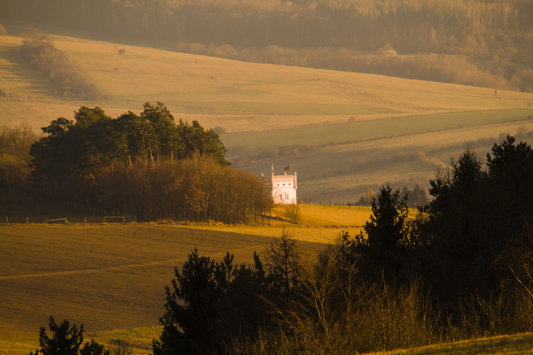 Sigma 50-500mm f/4-6.3 APO HSM EX sample photo. Img photography