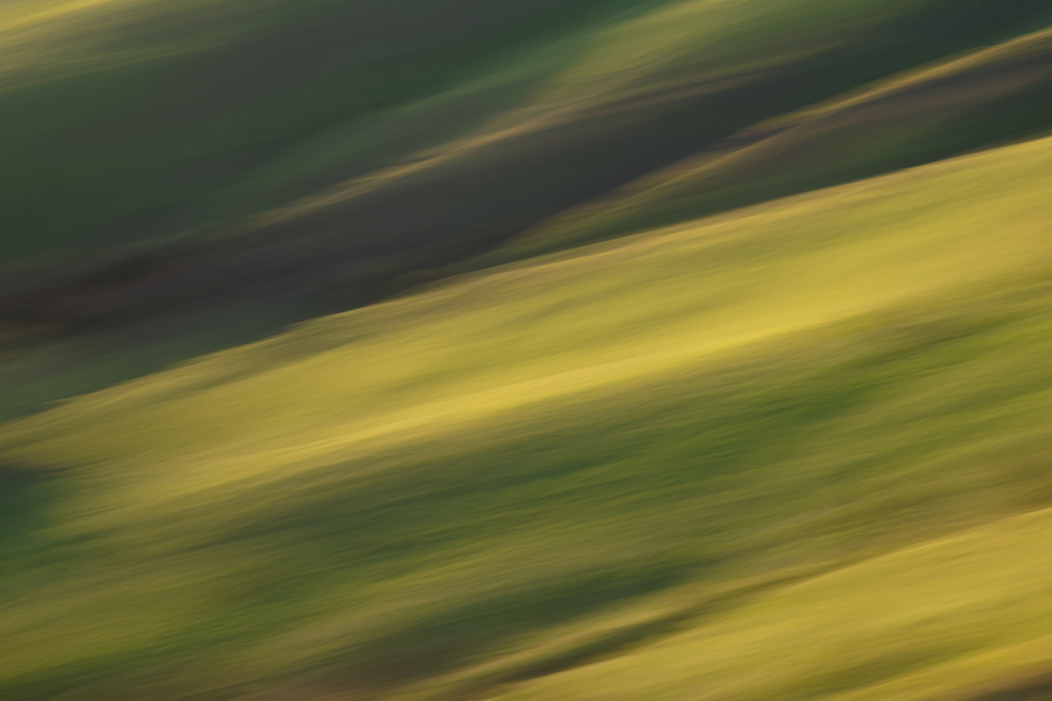 Sony a99 II sample photo. Mount diablo impressions photography