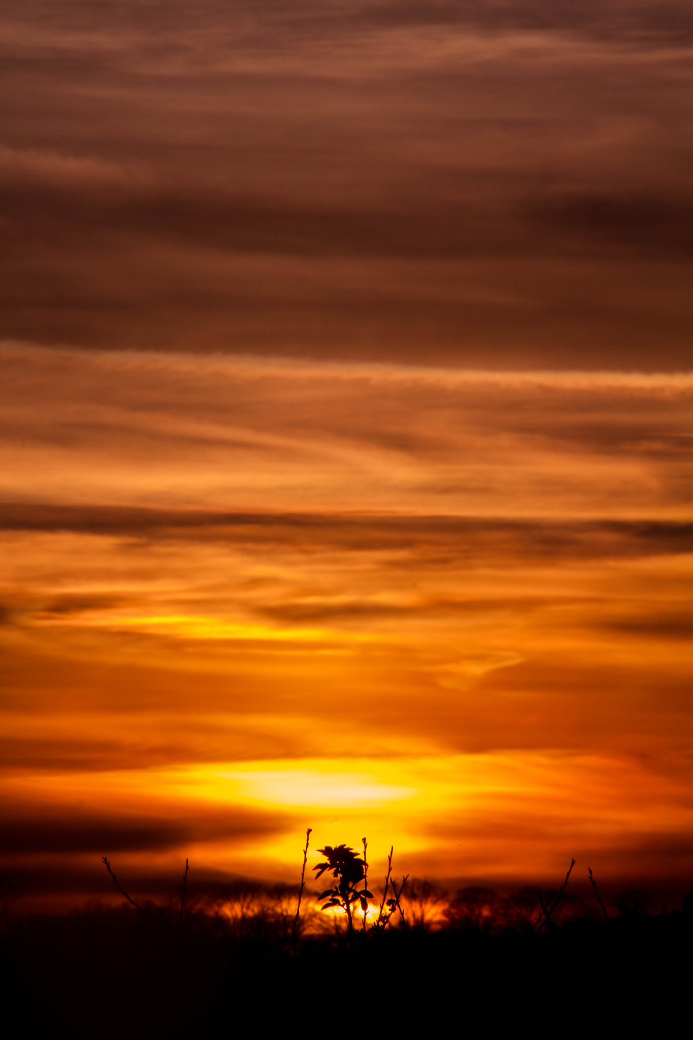 Canon EF 75-300mm F4.0-5.6 IS USM sample photo. Fire sky photography