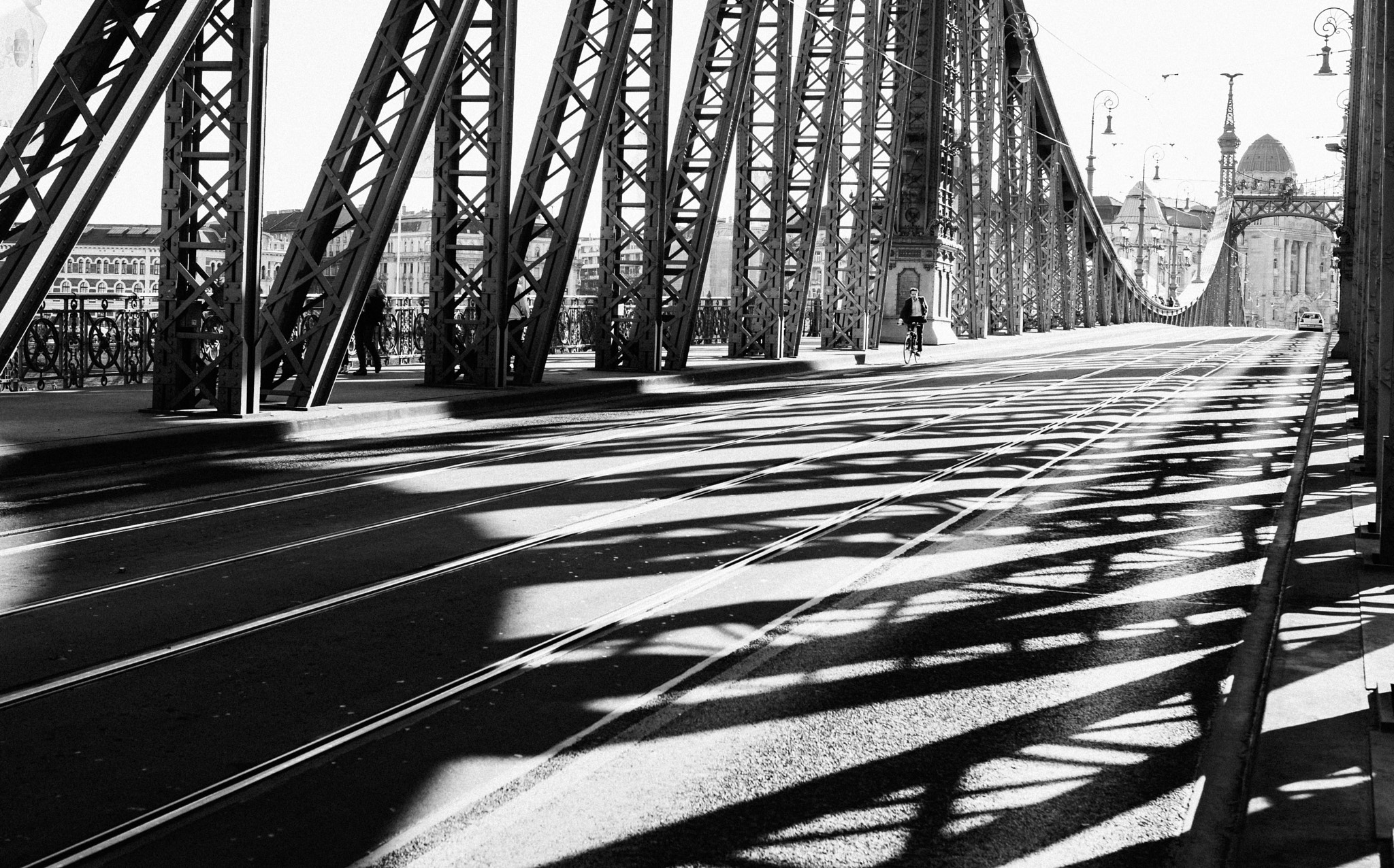 Nikon D3200 + Sigma 18-35mm F1.8 DC HSM Art sample photo. Through the zebra photography