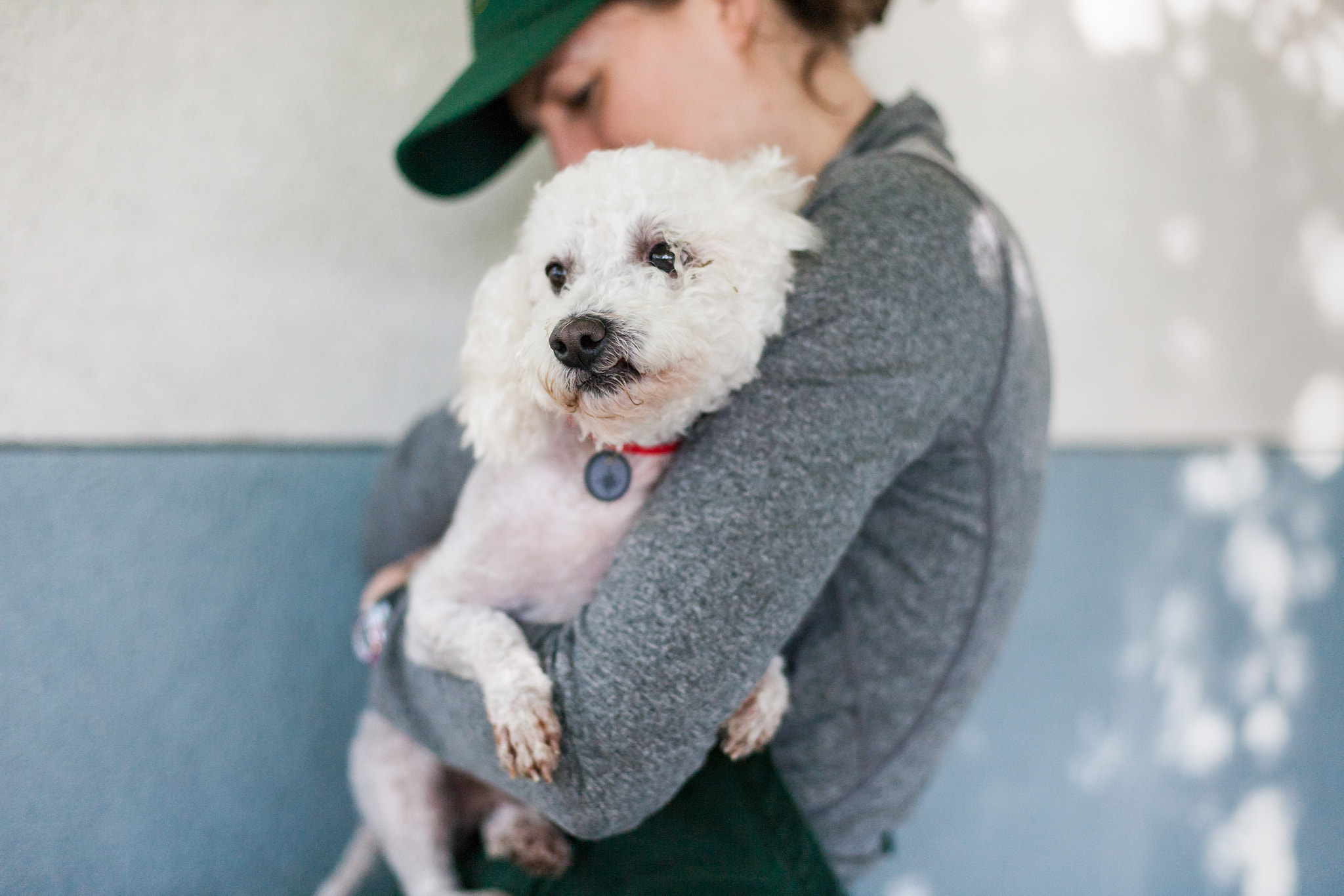 Canon EOS-1Ds Mark II sample photo. Companion animals photography