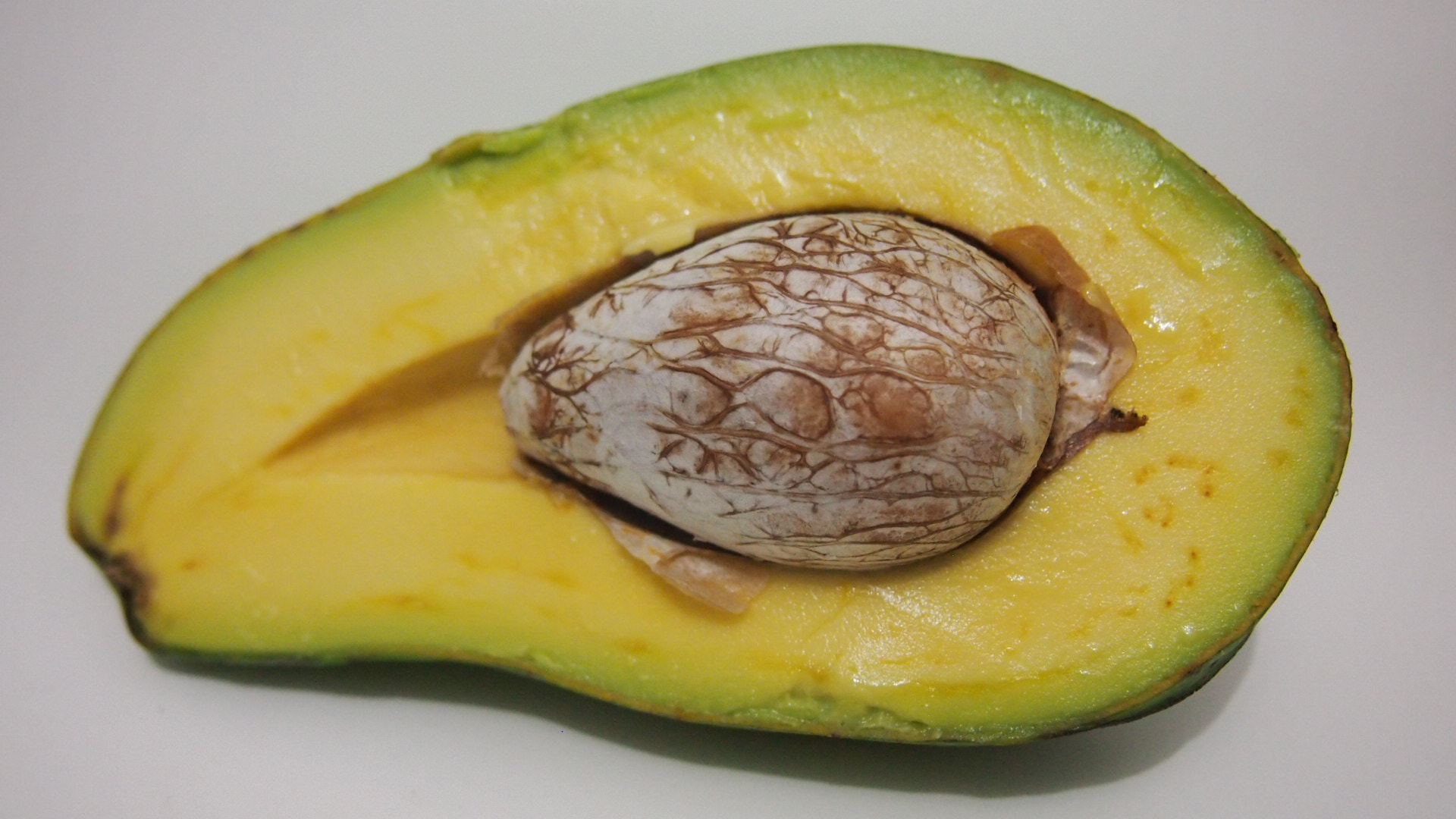 Olympus PEN E-PM1 sample photo. Avocado photography
