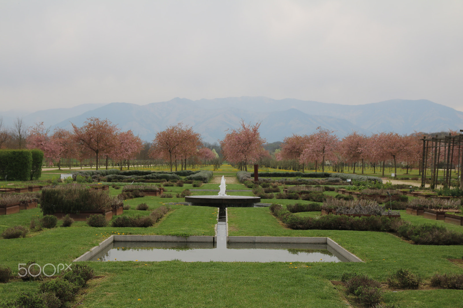 Canon EOS 760D (EOS Rebel T6s / EOS 8000D) sample photo. Gardens of venaria reale photography