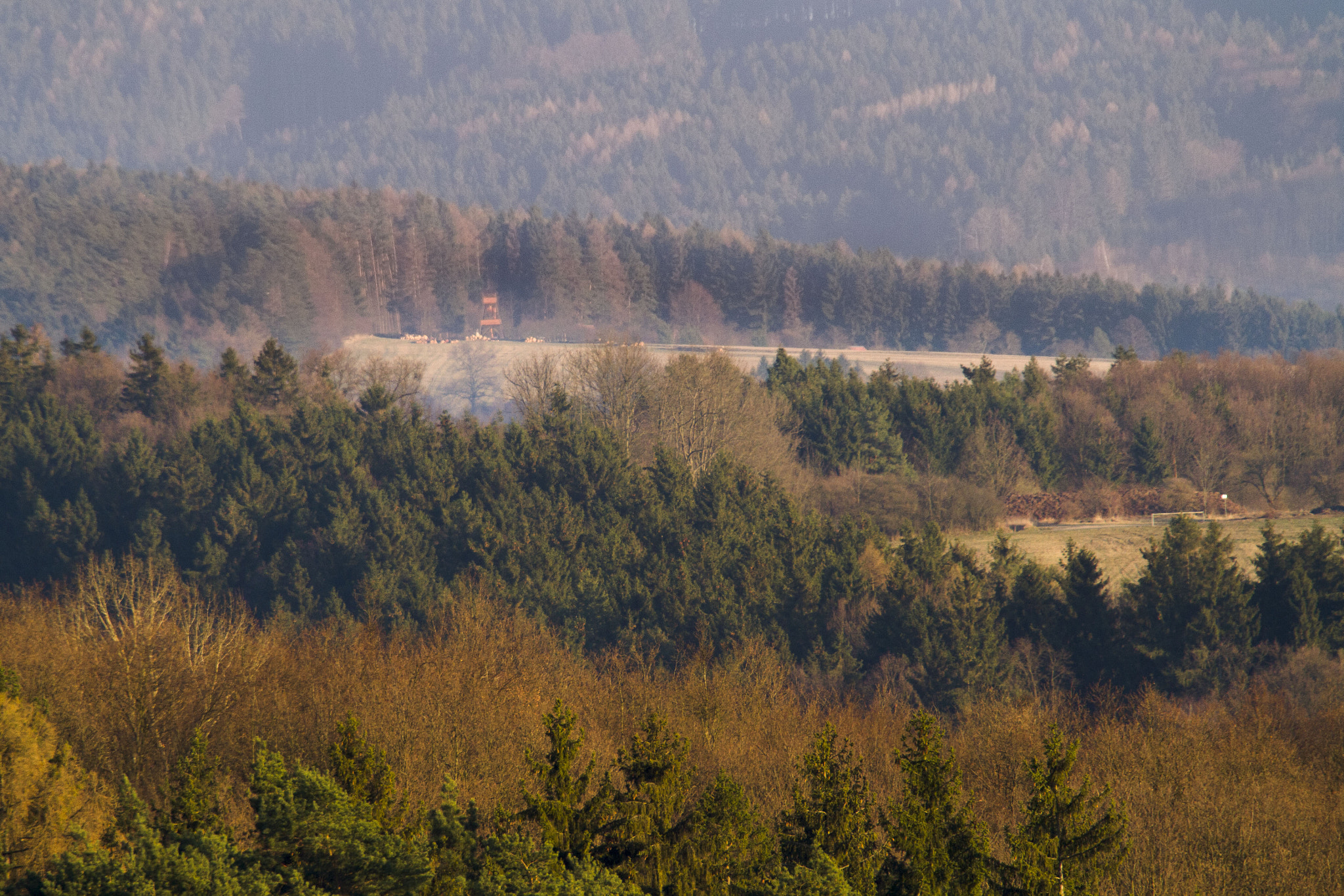 Sigma 50-500mm f/4-6.3 APO HSM EX sample photo. Img photography
