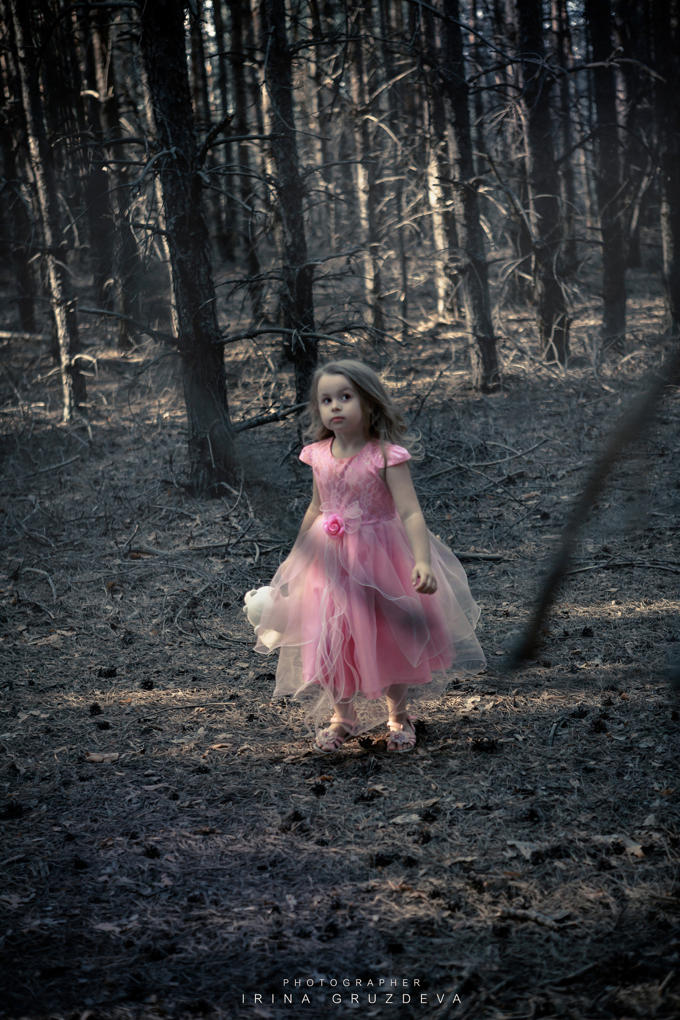 Canon EOS 5D sample photo. Lost in the woods photography