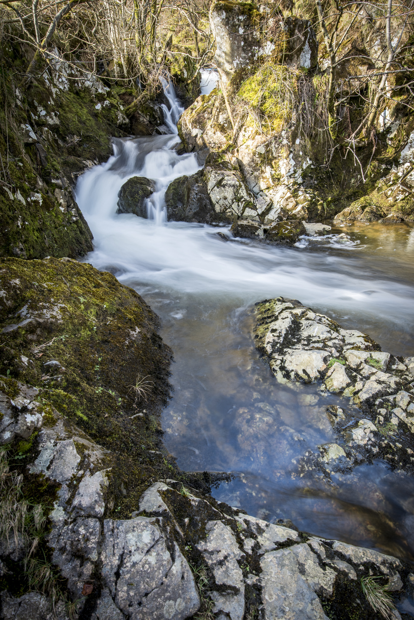 Nikon AF-S Nikkor 16-35mm F4G ED VR sample photo. The forces photography