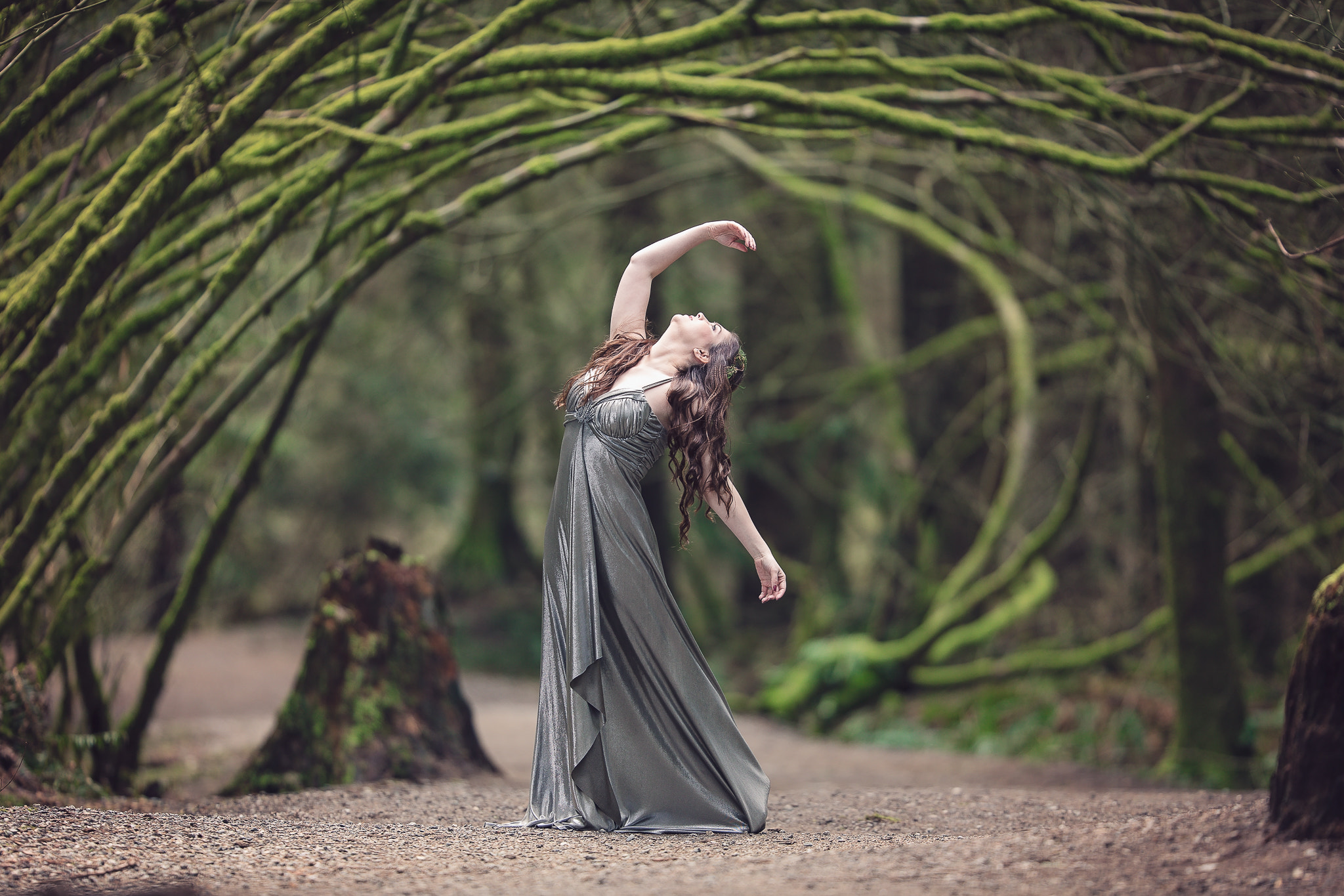 Canon EOS 5DS R + Canon EF 200mm F2L IS USM sample photo. Dancing in the enchanted forest photography