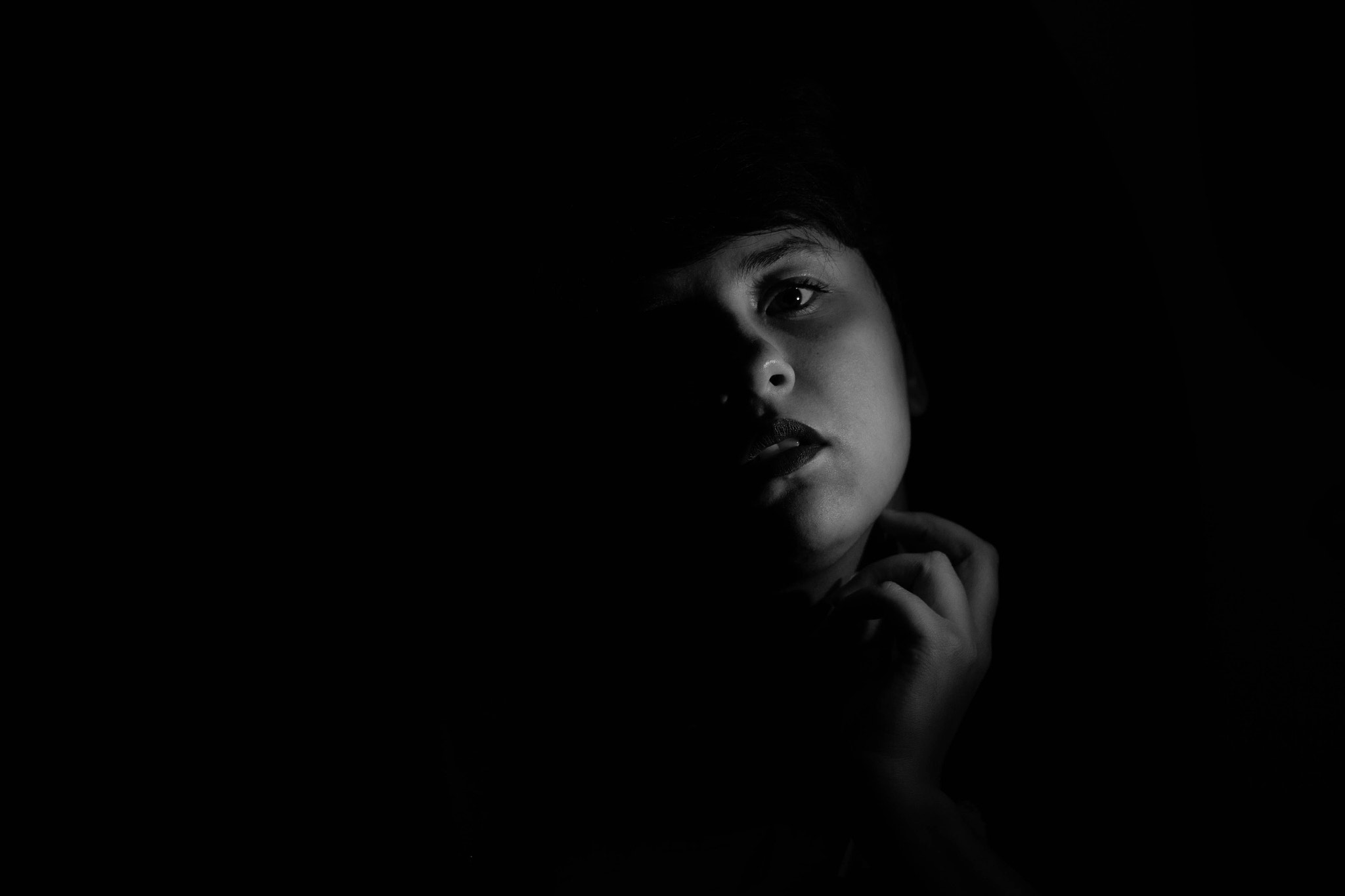 Canon EF 50mm F1.8 II sample photo. My first low key photography