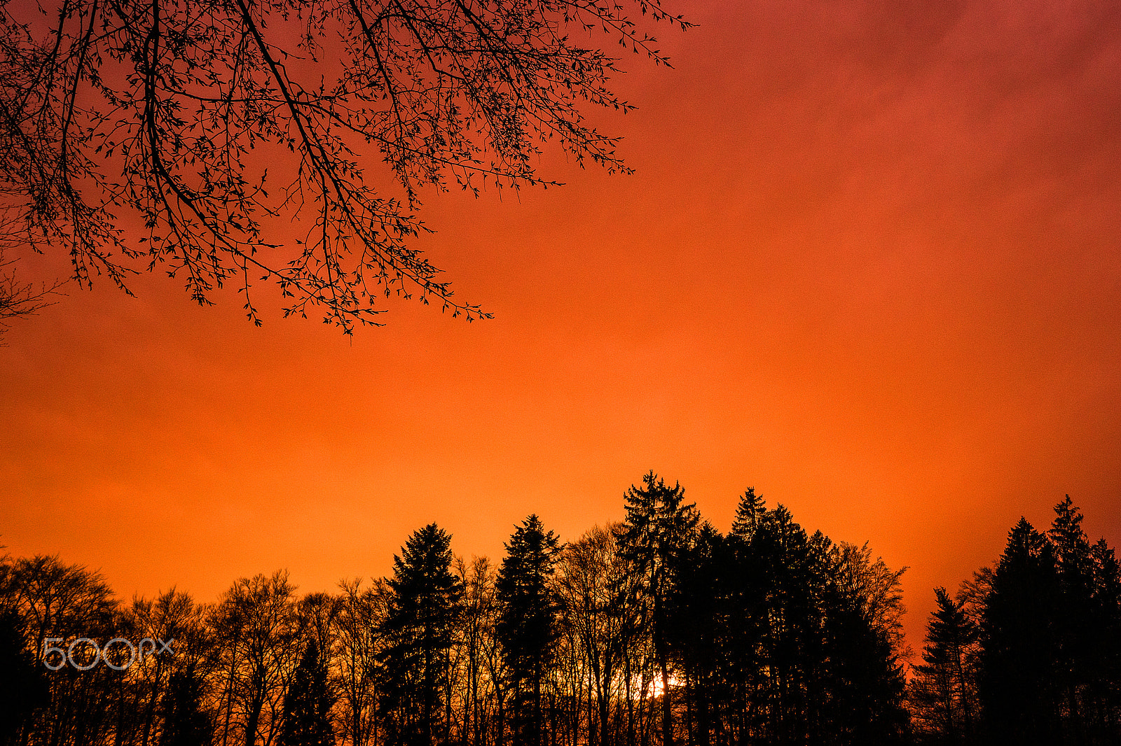 Sony a7 + Sony Vario Tessar T* FE 24-70mm F4 ZA OSS sample photo. Sunlight photography