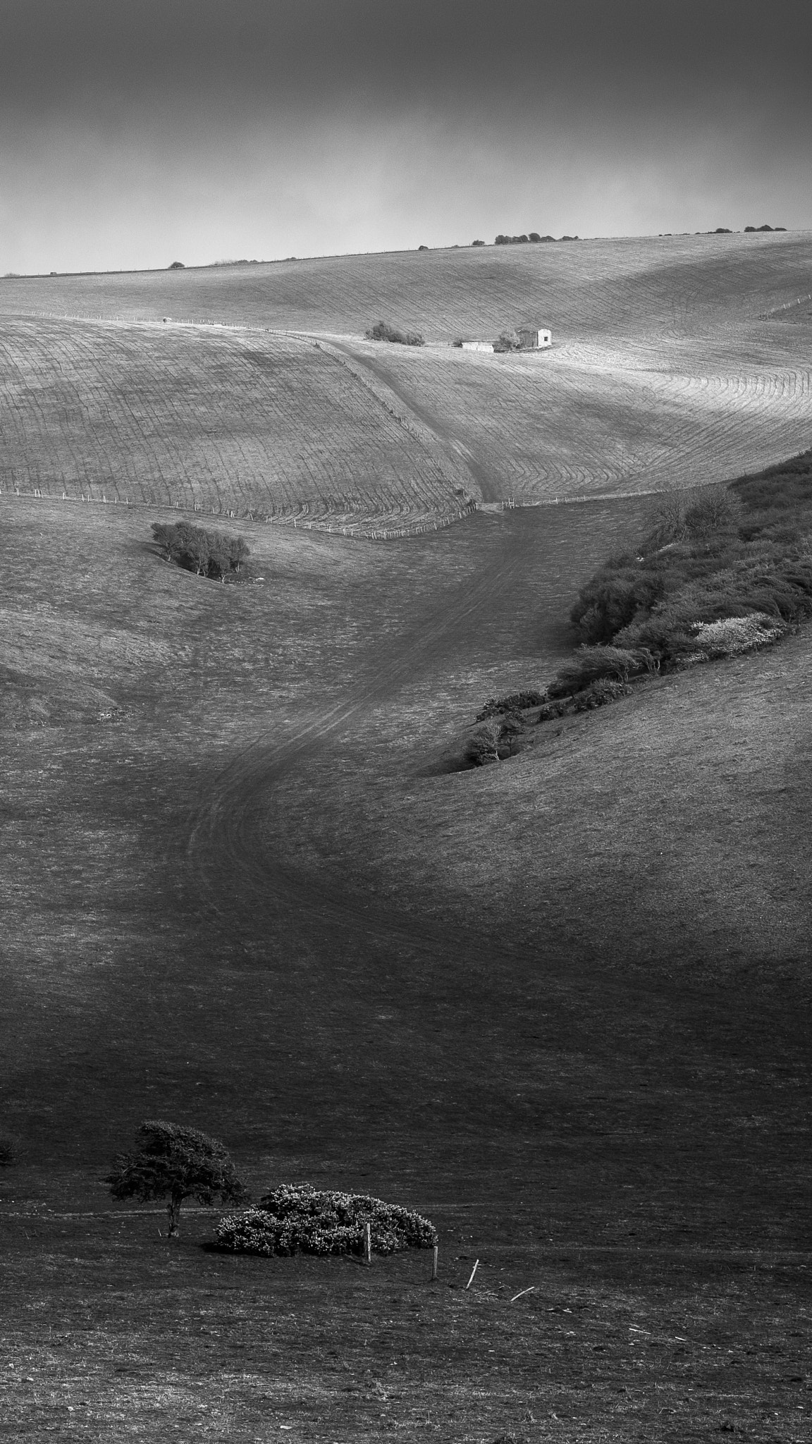 Fujifilm X-T1 + Fujifilm XF 60mm F2.4 R Macro sample photo. Southdowns way sussex photography