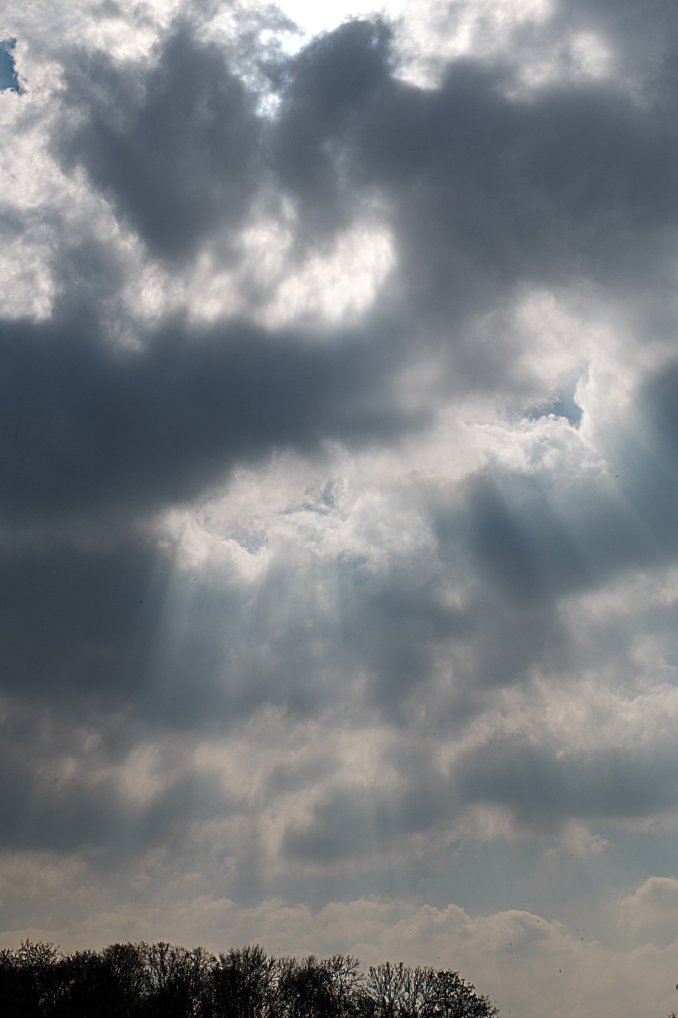 Canon EF 35mm F2 IS USM sample photo. Spring () photography