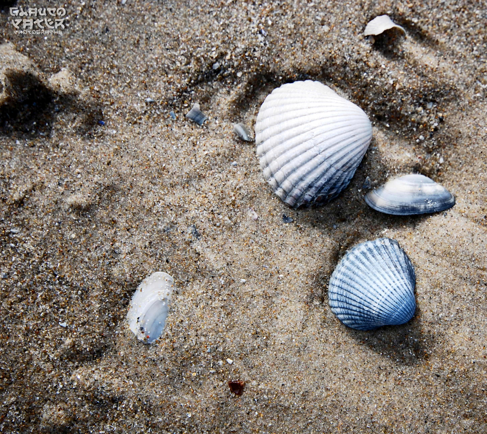Sigma 10-20mm F4-5.6 EX DC HSM sample photo. Boulogne-sur-mer photography