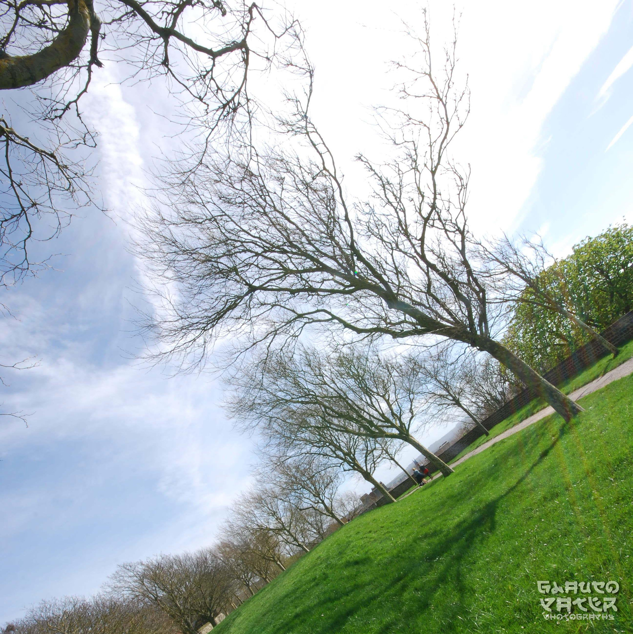 Sigma 10-20mm F4-5.6 EX DC HSM sample photo. Boulogne-sur-mer photography
