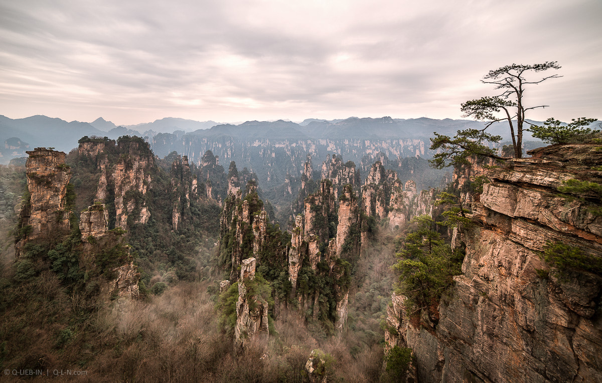 Samyang 14mm F2.8 ED AS IF UMC sample photo. Fly over the lost world photography