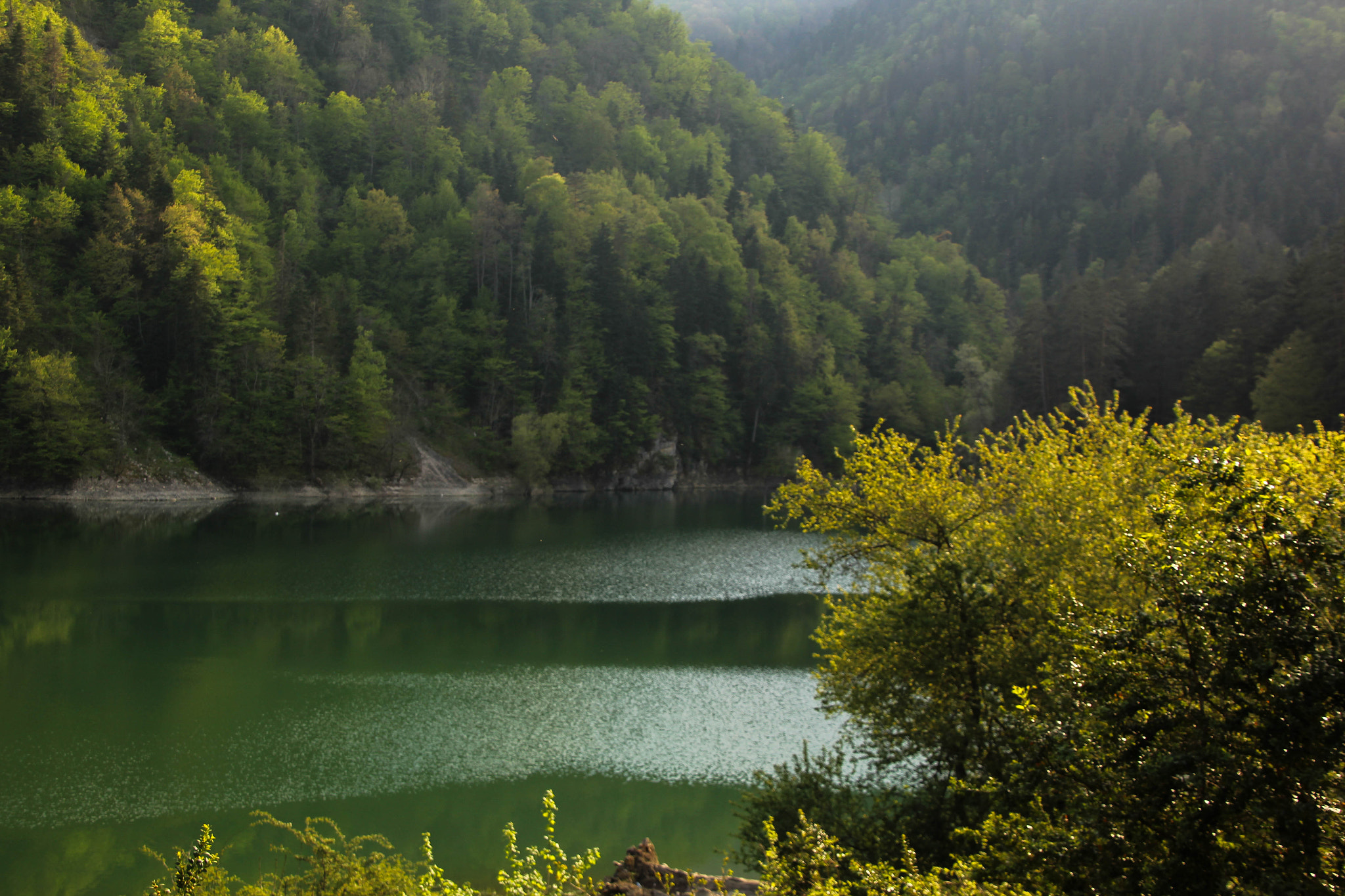 Canon EOS 60D sample photo. Img photography
