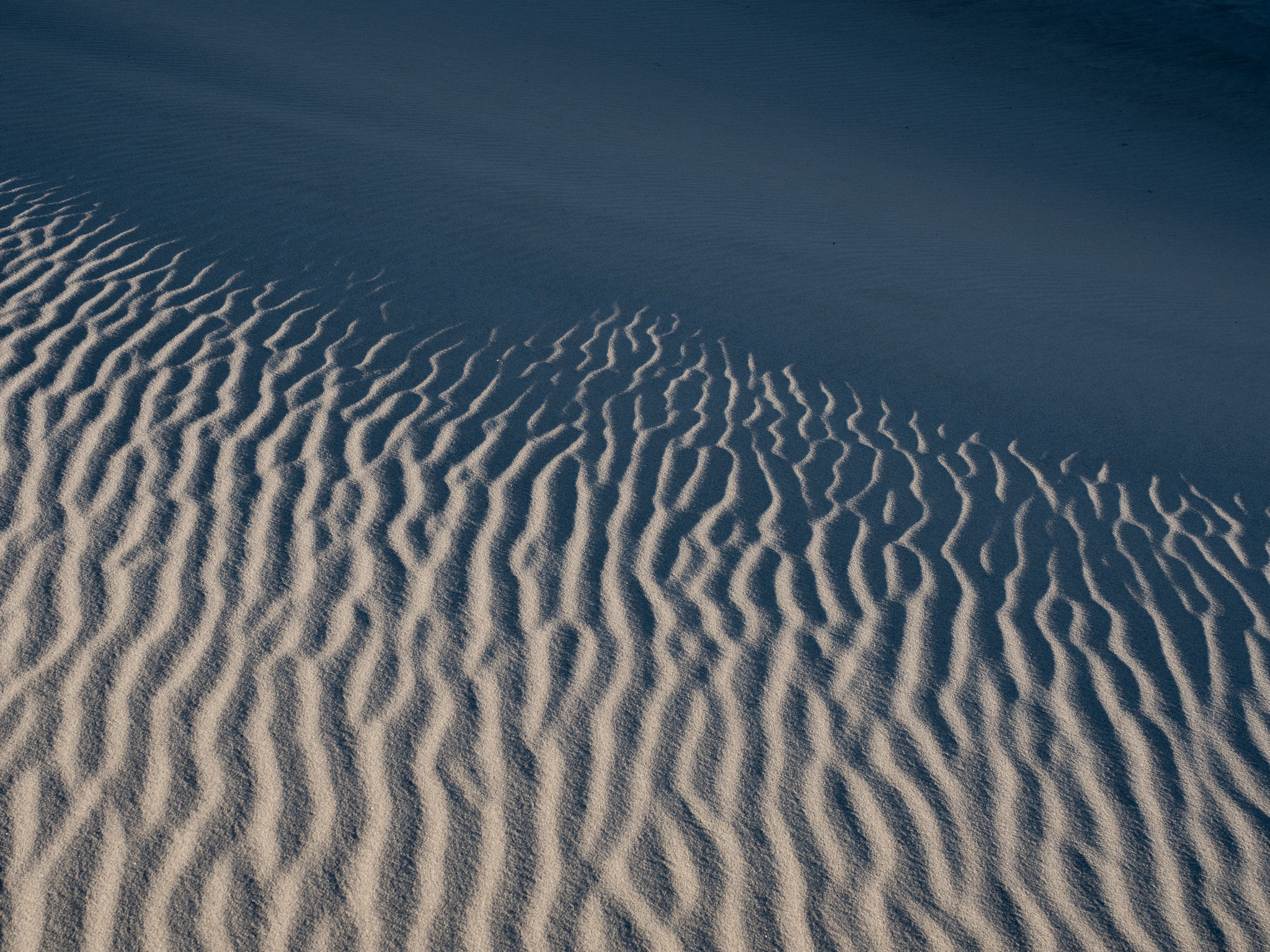 Olympus OM-D E-M5 II + Olympus M.Zuiko Digital ED 12-40mm F2.8 Pro sample photo. Sand patterns #3 photography